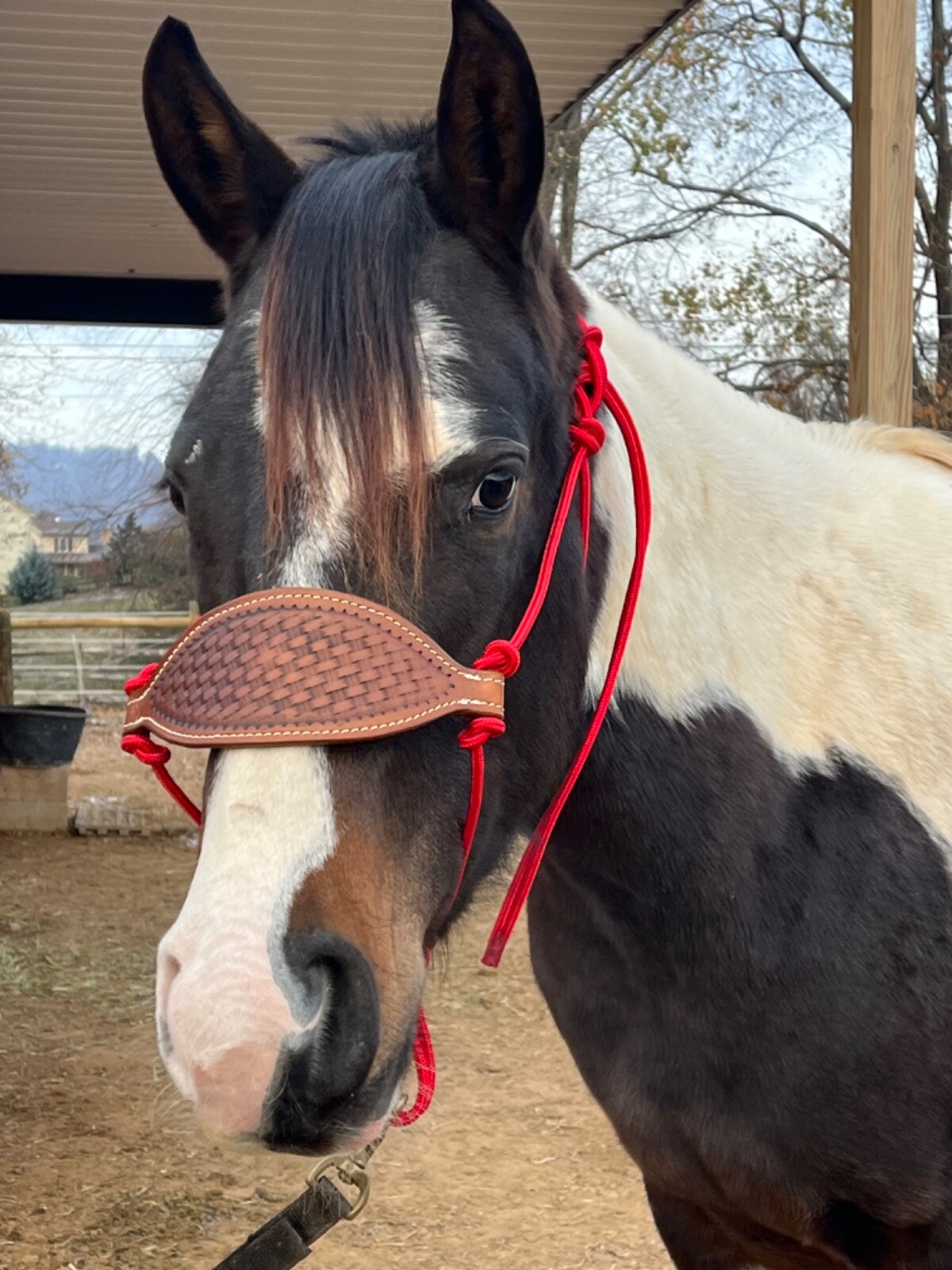 Bronc rope halter leather noseband, handmade, 1/4” red nylon cord, horse size