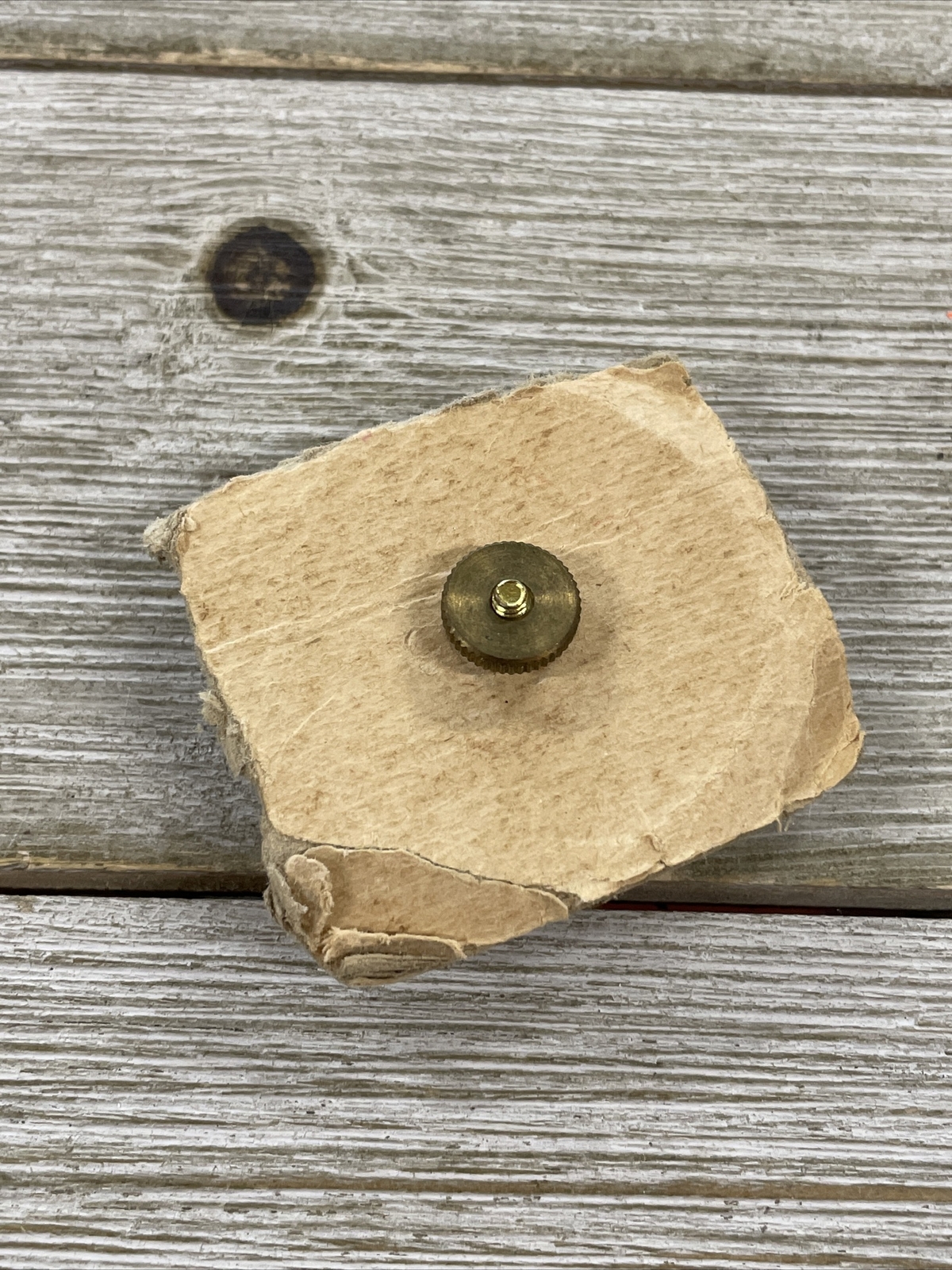 Gold Tone US Great Seal Screw Pin