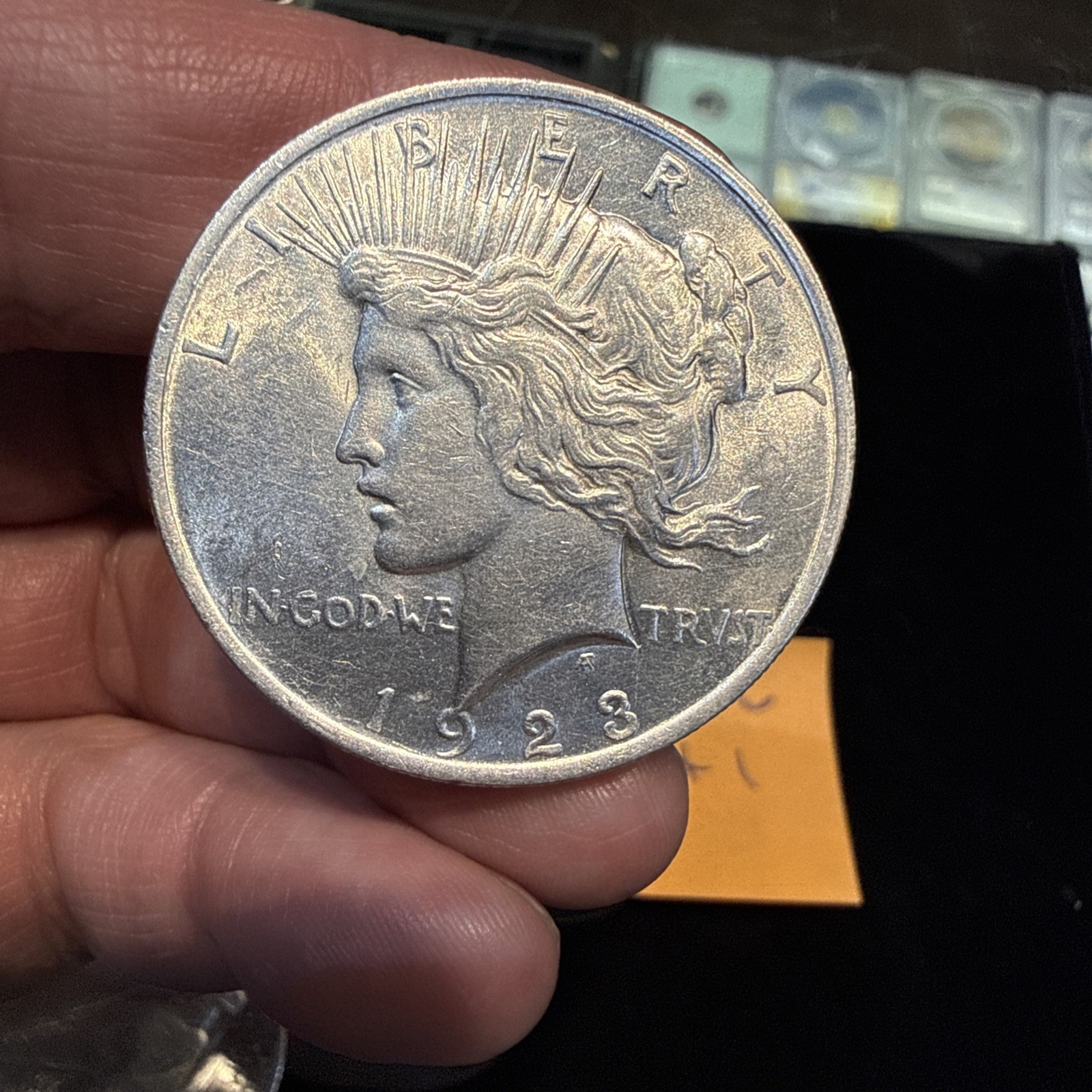 Lot Of 5 Peace Dollars