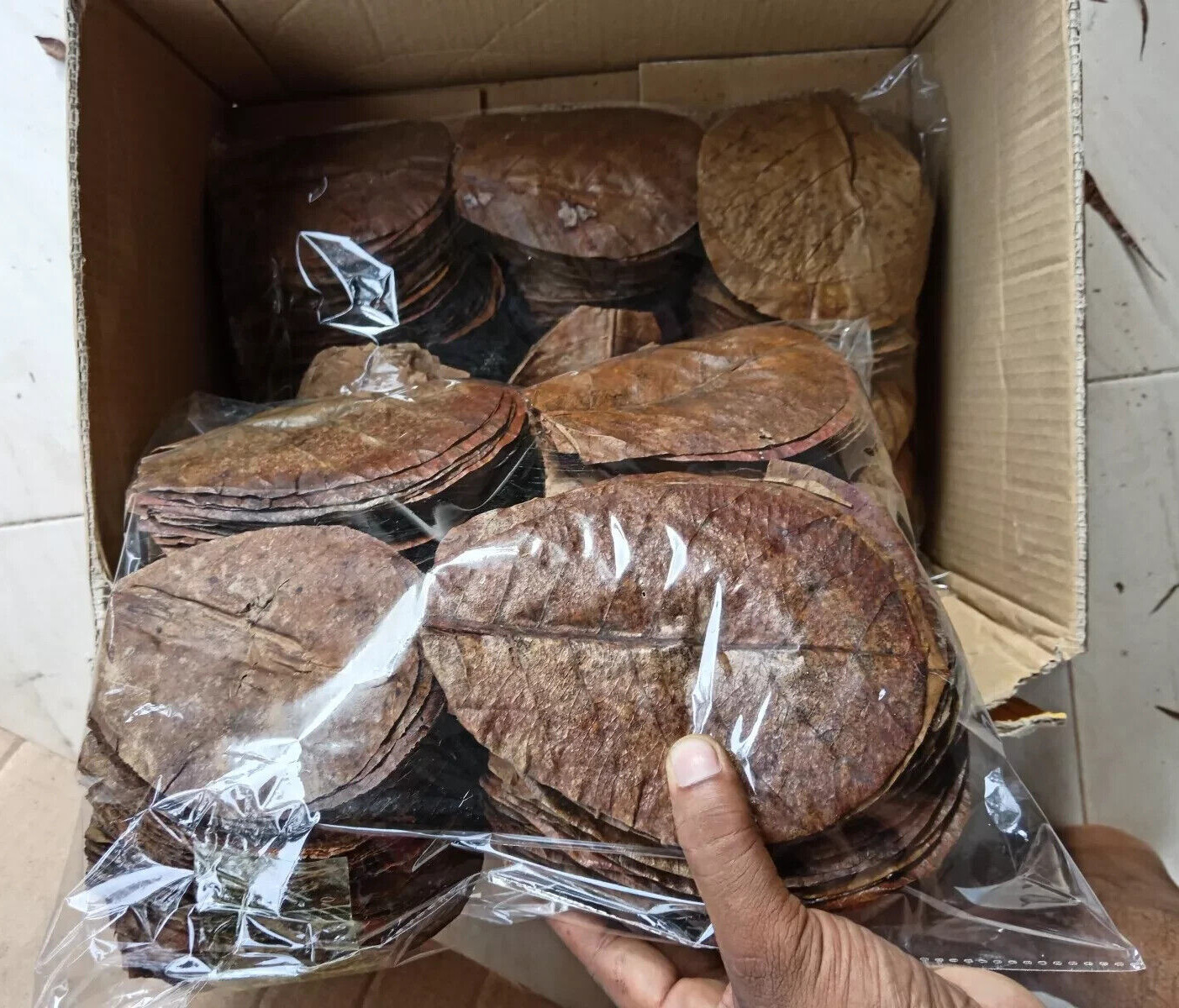 5000PC Almond Leaves Catappa Ketapang Leaf 5-6'' Shrimp Betta Fish Aquarium Care
