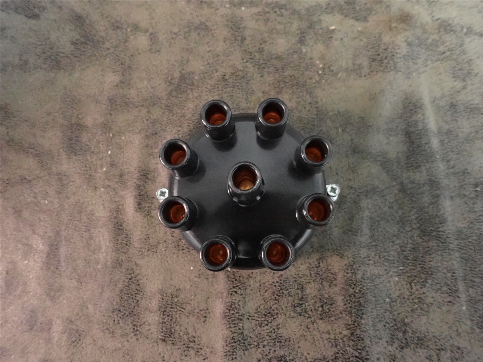 NEW WVE 5D1340 Distributor Cap (G208)