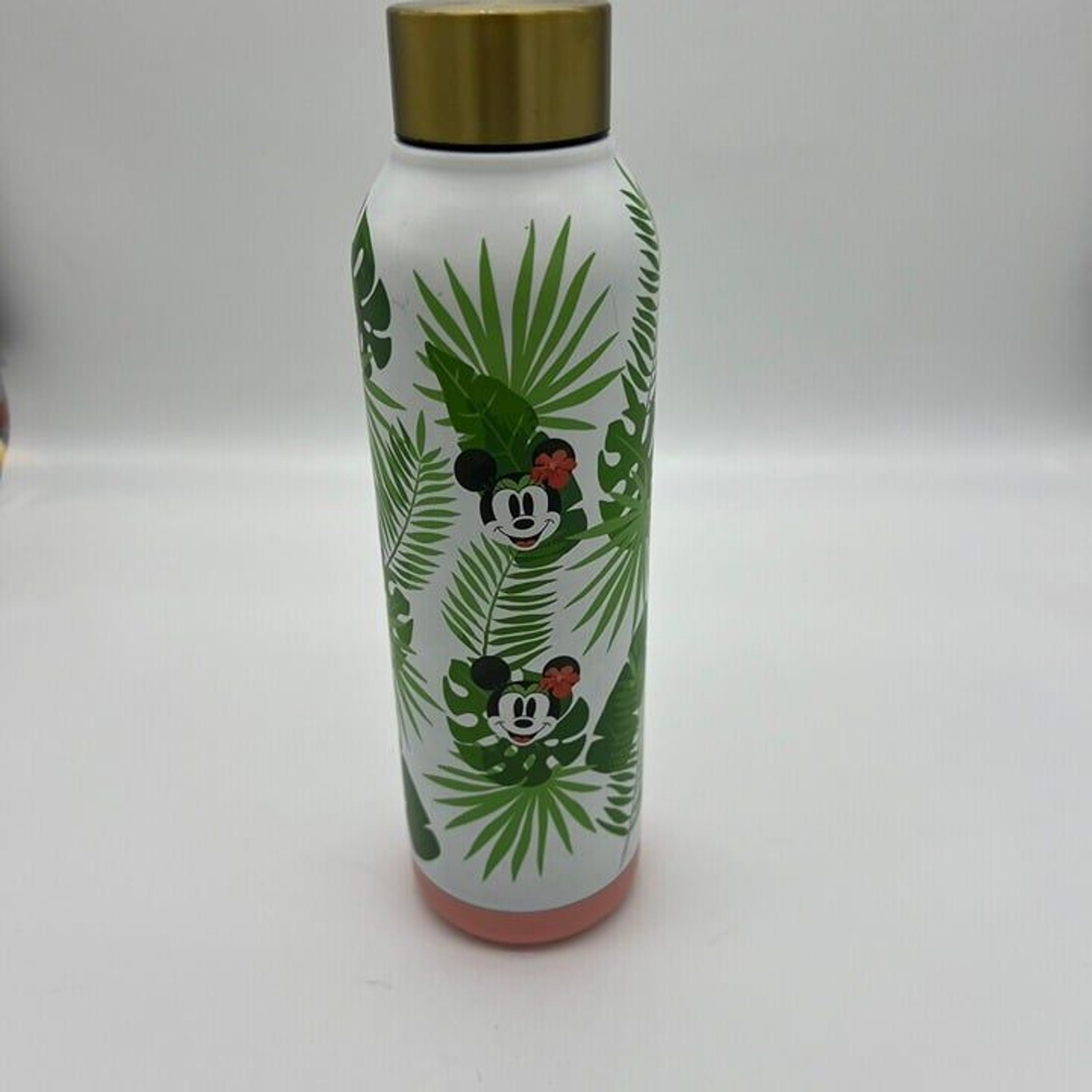 NWT Disney Tropical metal water bottle