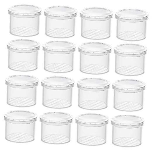 16 Pieces Bug Viewer Critter Insect Cage Magnifying Insect Box Bug 16 Pack