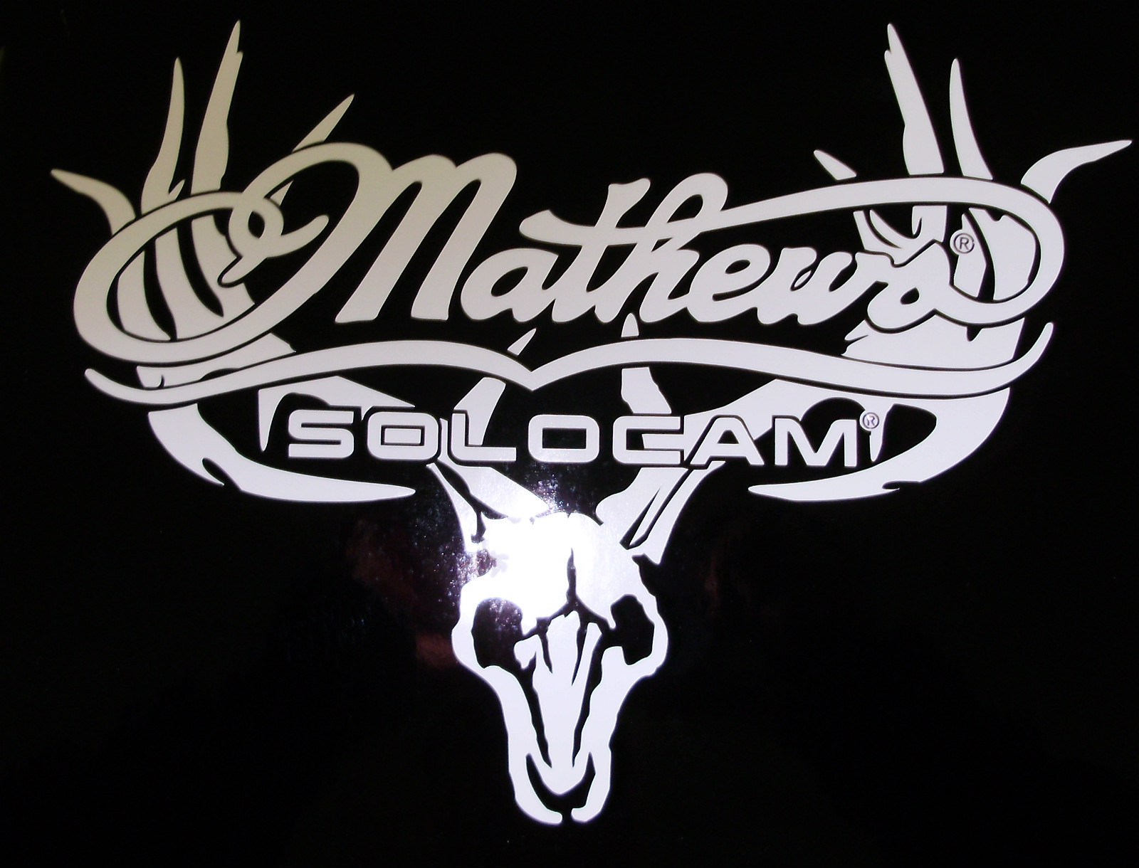 Mathews  european mount white decal  die cut 11" x 7"