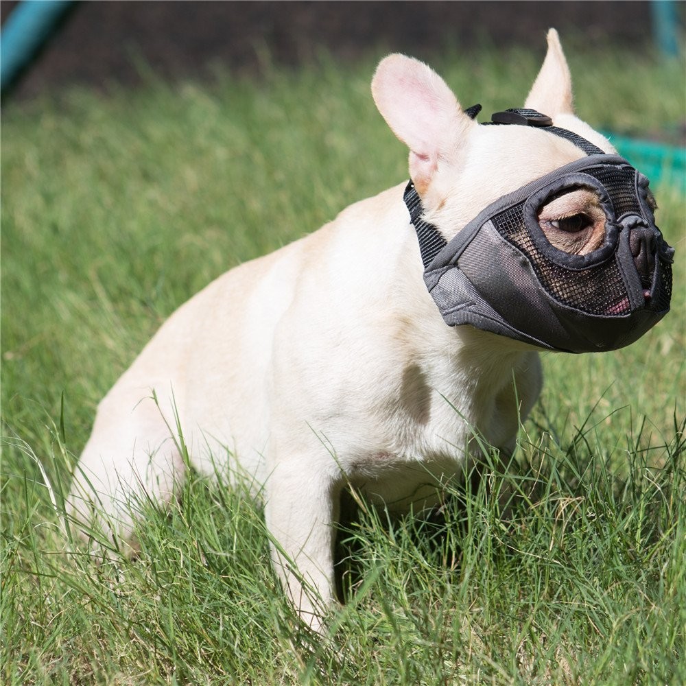 Short Snout Dog Muzzle- Adjustable Breathable Mesh Bulldog Muzzle for Biting ...
