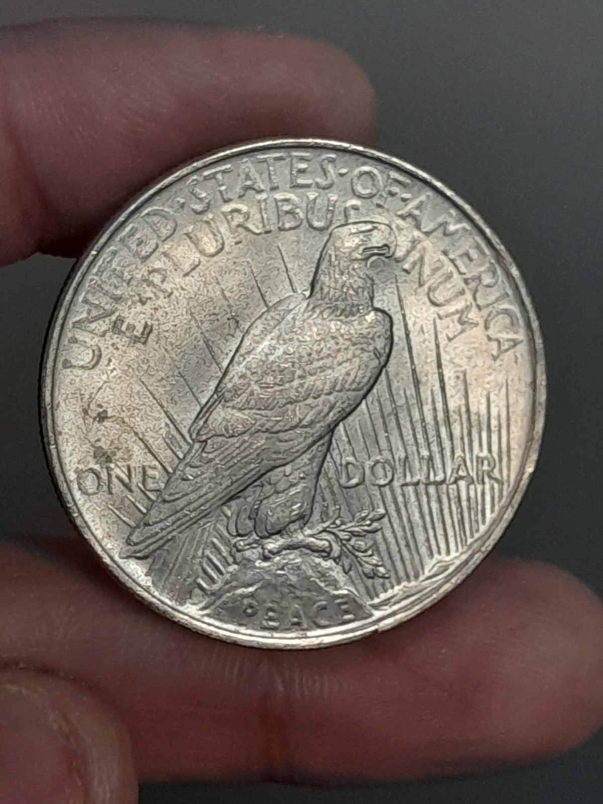 1922 Peace Silver Dollar Uncirculated #3