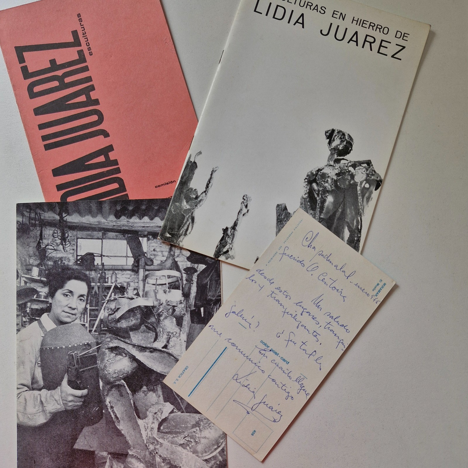 Lidia Juarez - Lote de catalogos y otros