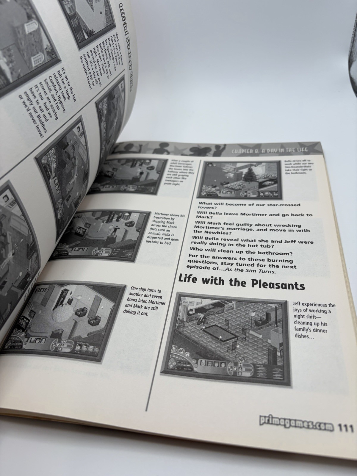 Sims Superstar Expansion Pack: Prima’s Official Strategy Guide