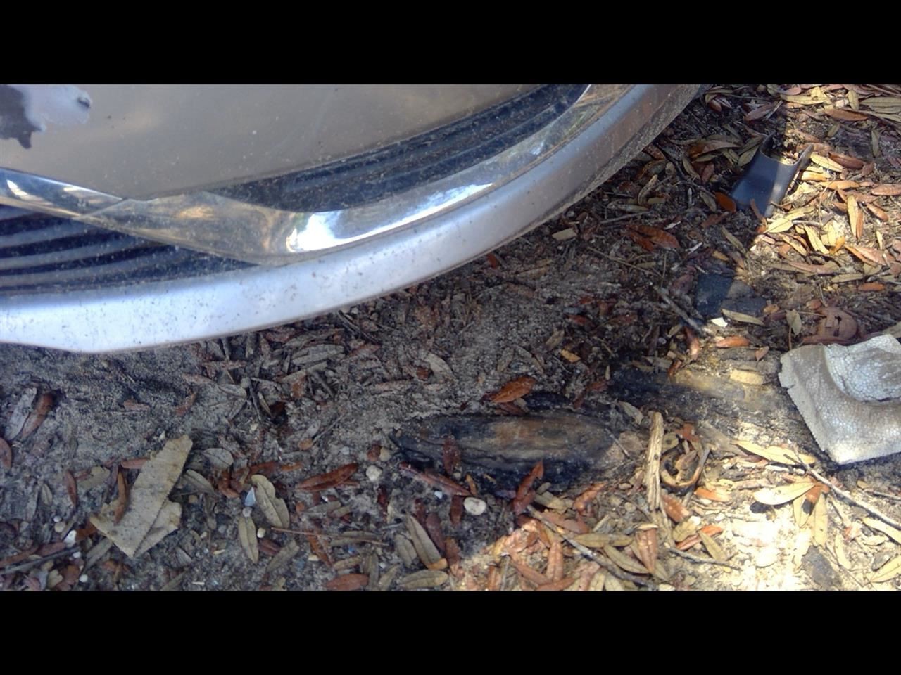 200 2015 Air Shutter 1138331
