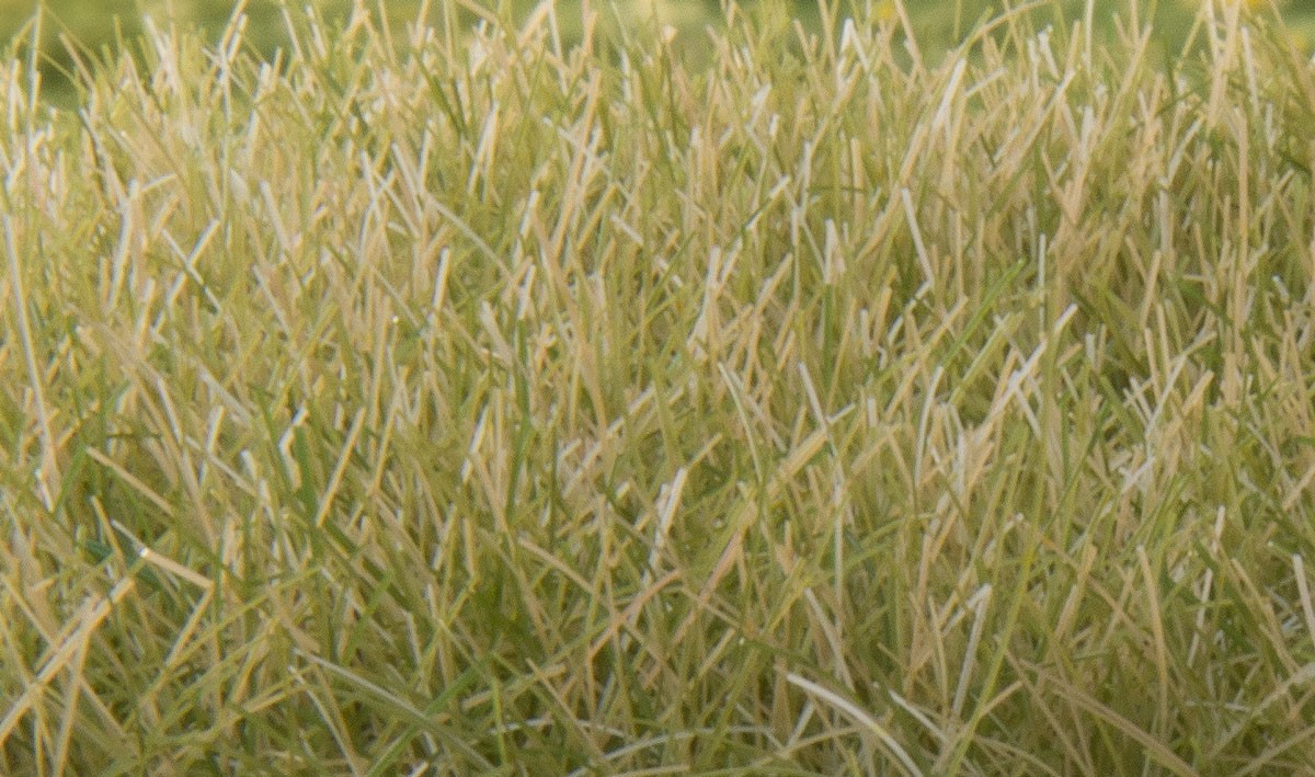Woodland Scenics 627 All Scale Static Grass-Light Green 12mm