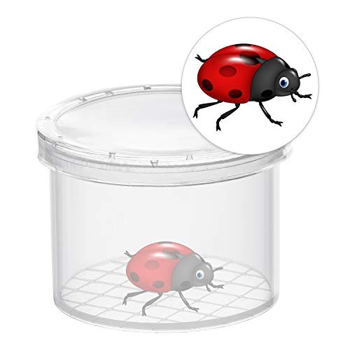 16 Pieces Bug Viewer Critter Insect Cage Magnifying Insect Box Bug 16 Pack