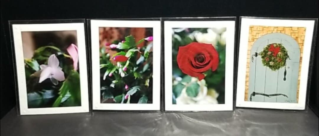 ~Holiday Theme~ Photography Photo Greeting Cards-Blank Inside Set Of 4 ~Lot #2~