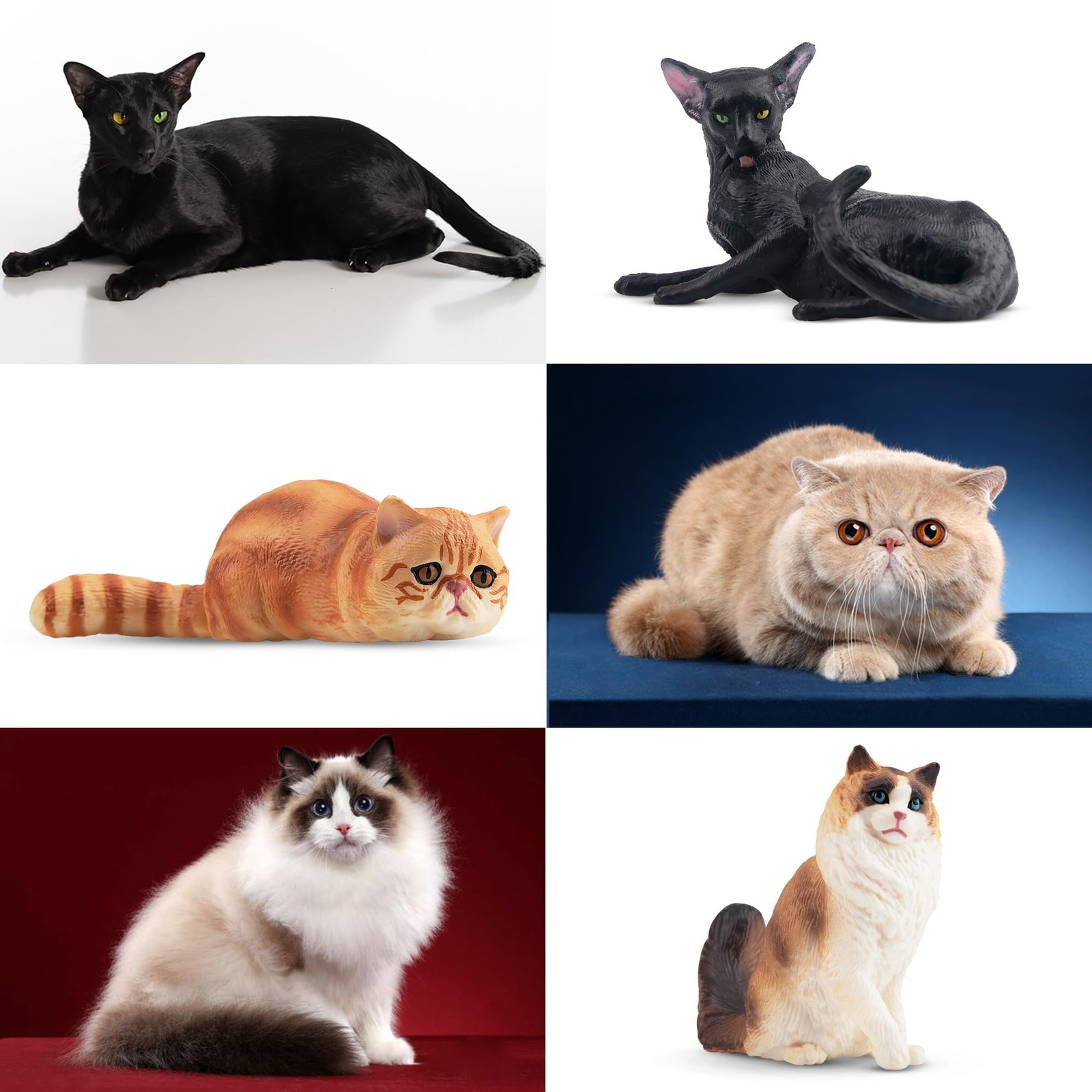 EYSCOTA 12PCS Realistic Cat Figurines, Plastic Cat Figure, Cat Cake Topper Ki...