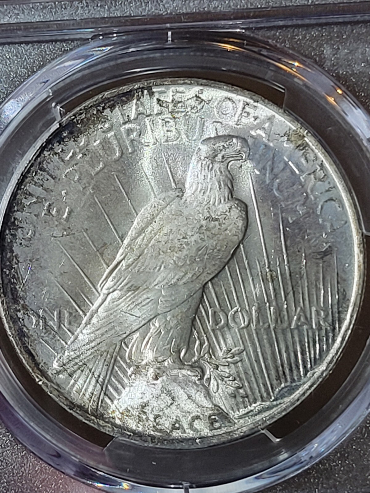 1923 $1 Peace Dollar PCGS MS65 Toned