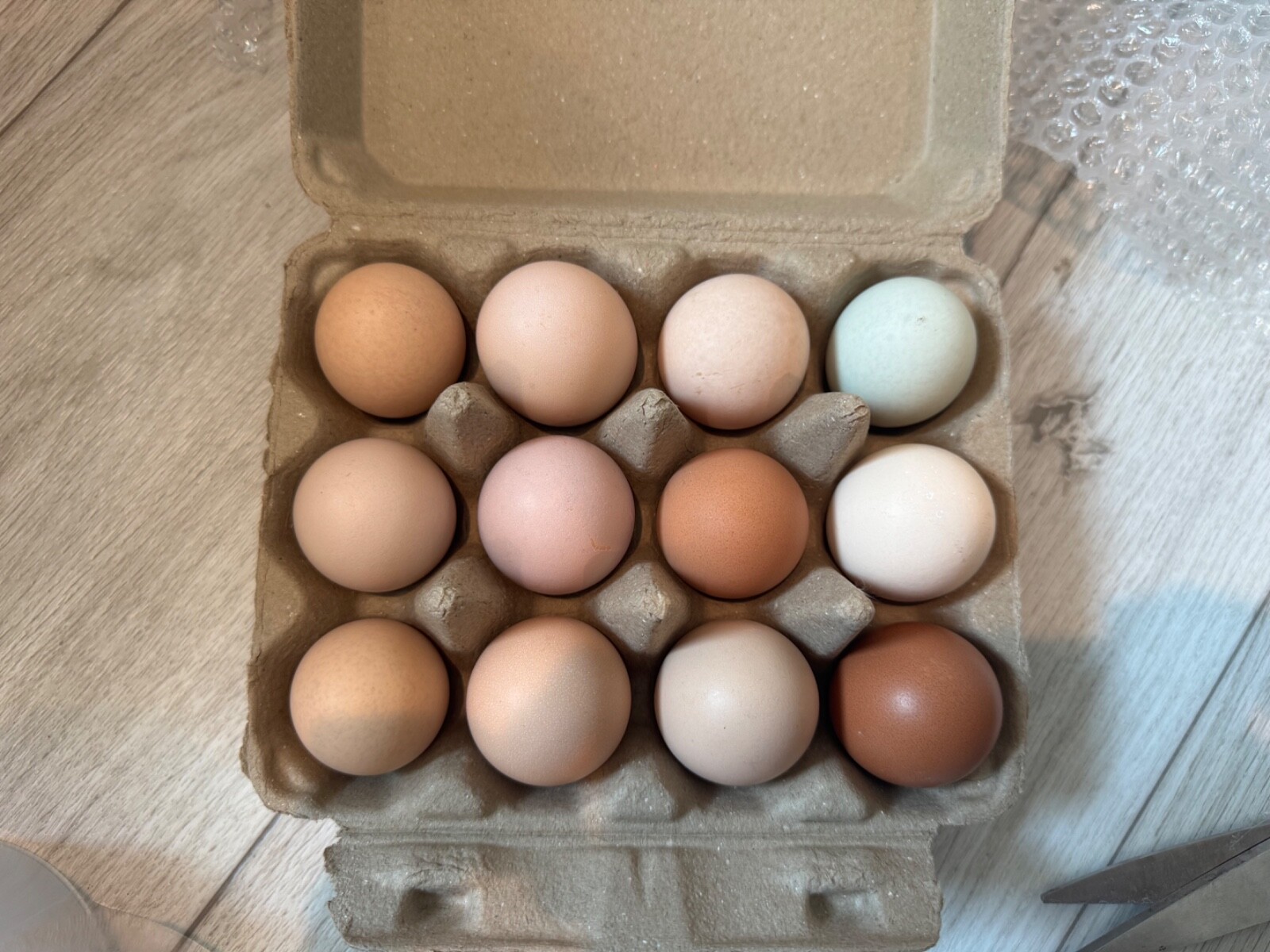 12 Mix Hatching Eggs (Rare Breeds)
