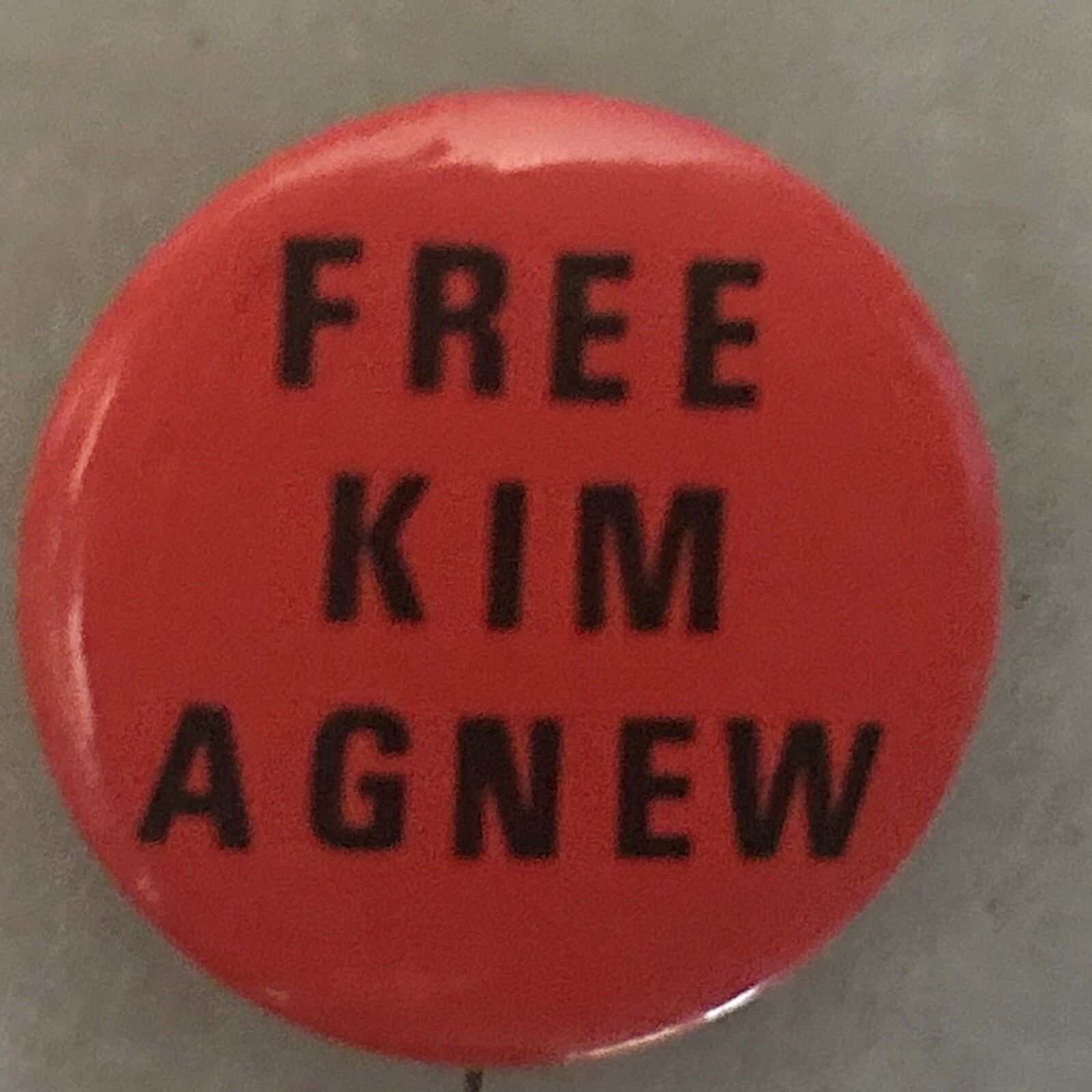FREE KIM AGNEW anti Nixon anti Viet Nam Spiro’s Daughter  1 1/4”  pinback button