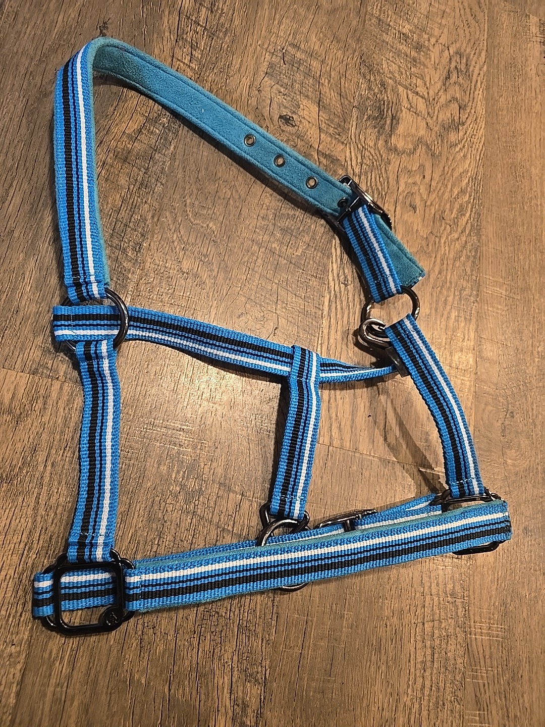 cob halter