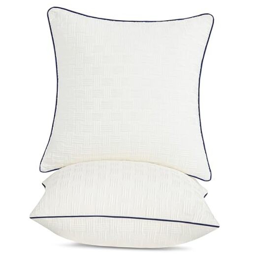 22x22 Pillow Inserts Set of 2 - Square Decorative Throw Pillows 22*22(2 Packs)
