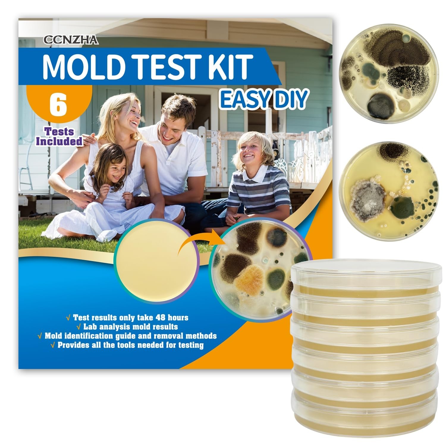 Home Mold Kit - 6 Tests, Black Mold Detector, Free Lab Analysis