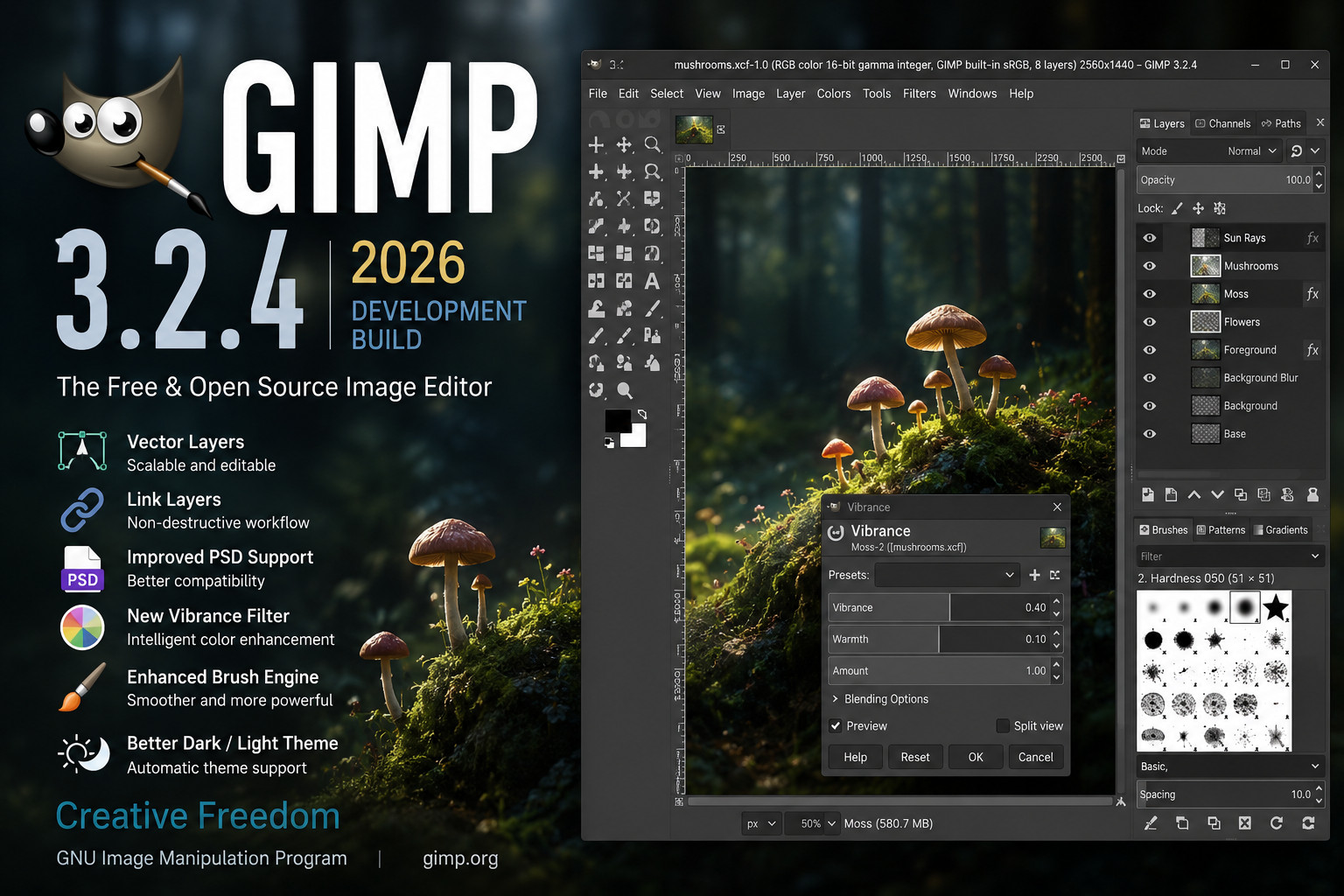 GIMP 3.2.4 (2026) Pro Graphic Design - Image Editing Software Program ~ Windows