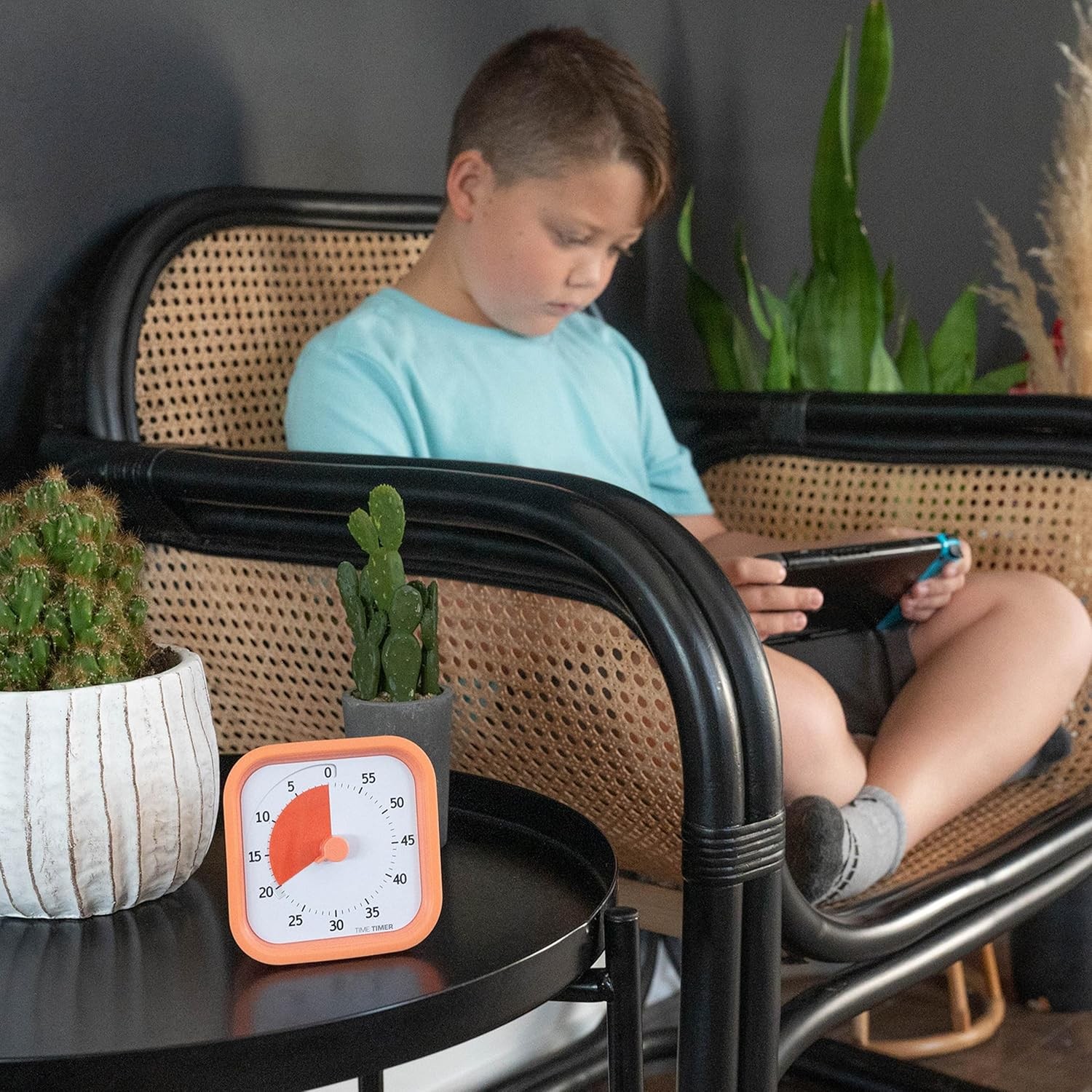TIME TIMER Home MOD - 60 Minute Kids Visual Timer Home Edition - For Homescho...
