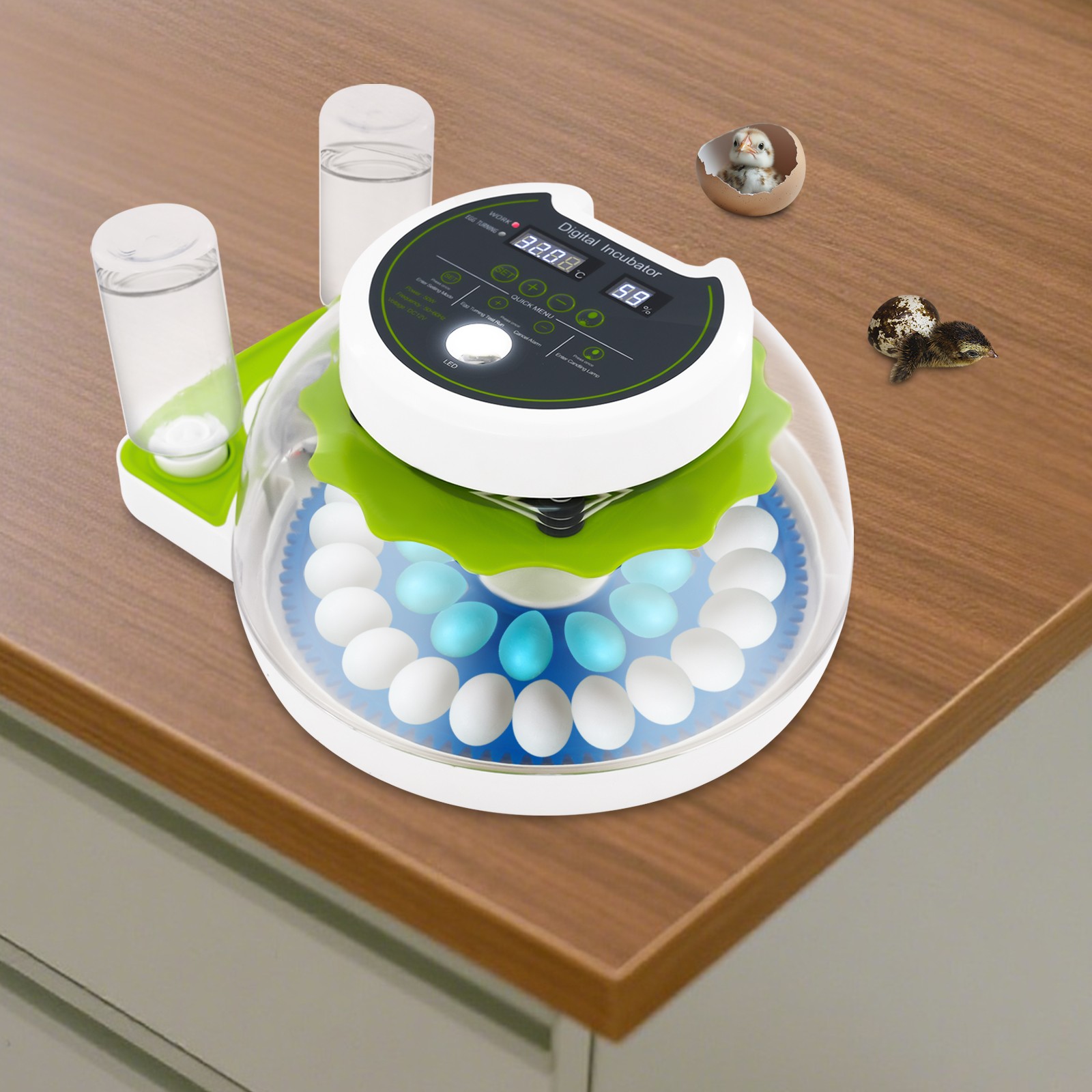 Quail Egg Incubator Small Chicken Brooder Poultry Incubating Machine 33 Capacity