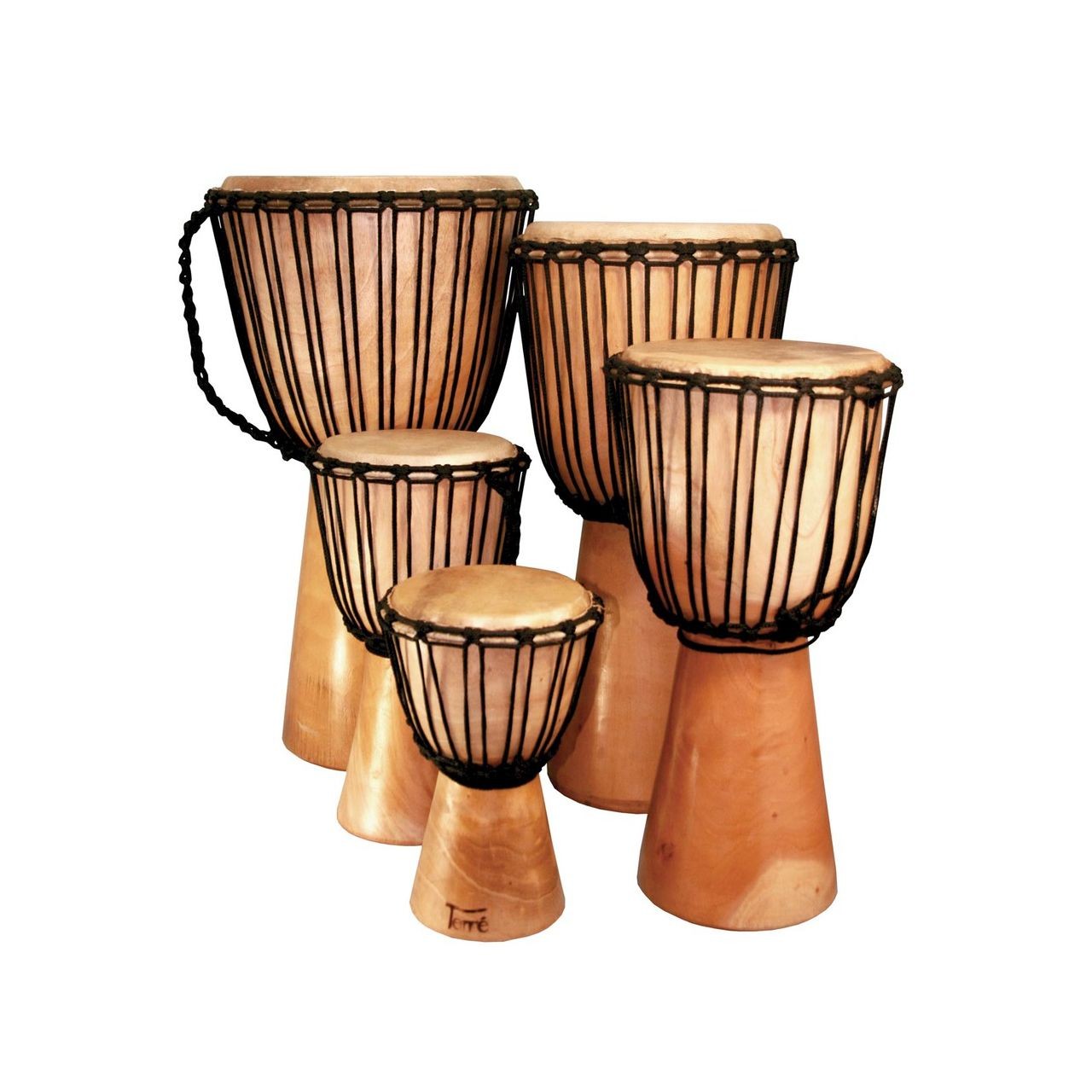 Terre Djembe Standard Mahogany 50Cm
