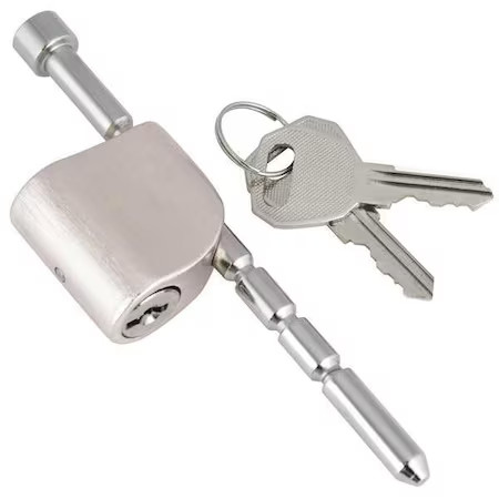 Reese 7042100 Adjustable Coupler Lock, Silver Brushed
