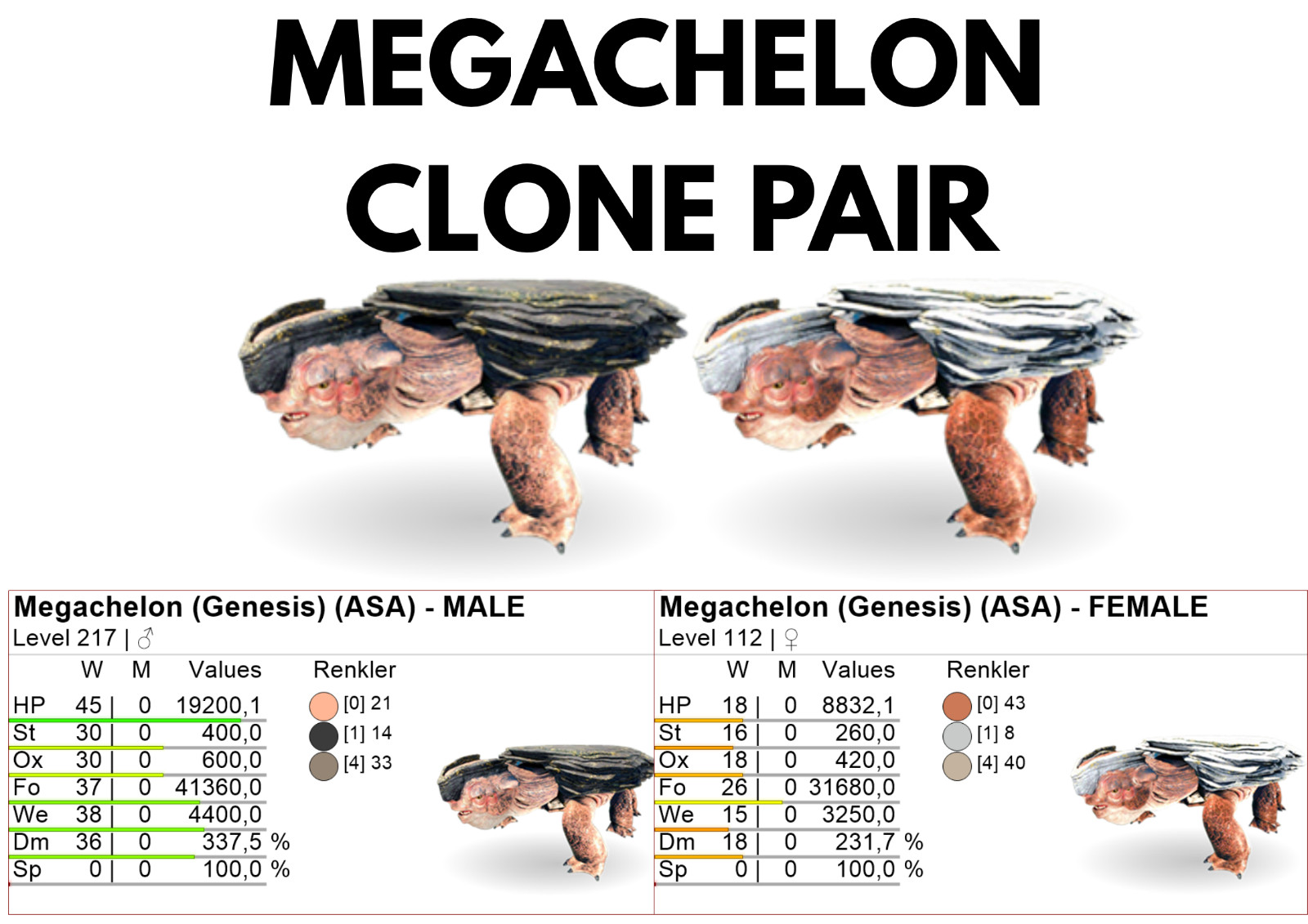 Megachelon Clone Pair Ark Survival Ascended Official PVE