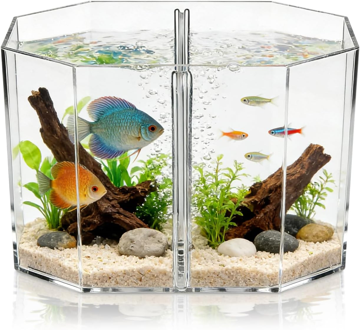 Box Octagonal Fish Tank Betta Fish Bowl Small Containers Shrimp Tank Baby Cart C