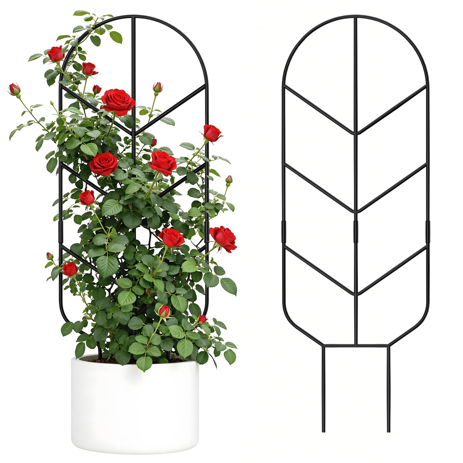 2 Pack 30'' Large Metal Plant Trellis for Climbing Plants, Tall 2 PACK, black