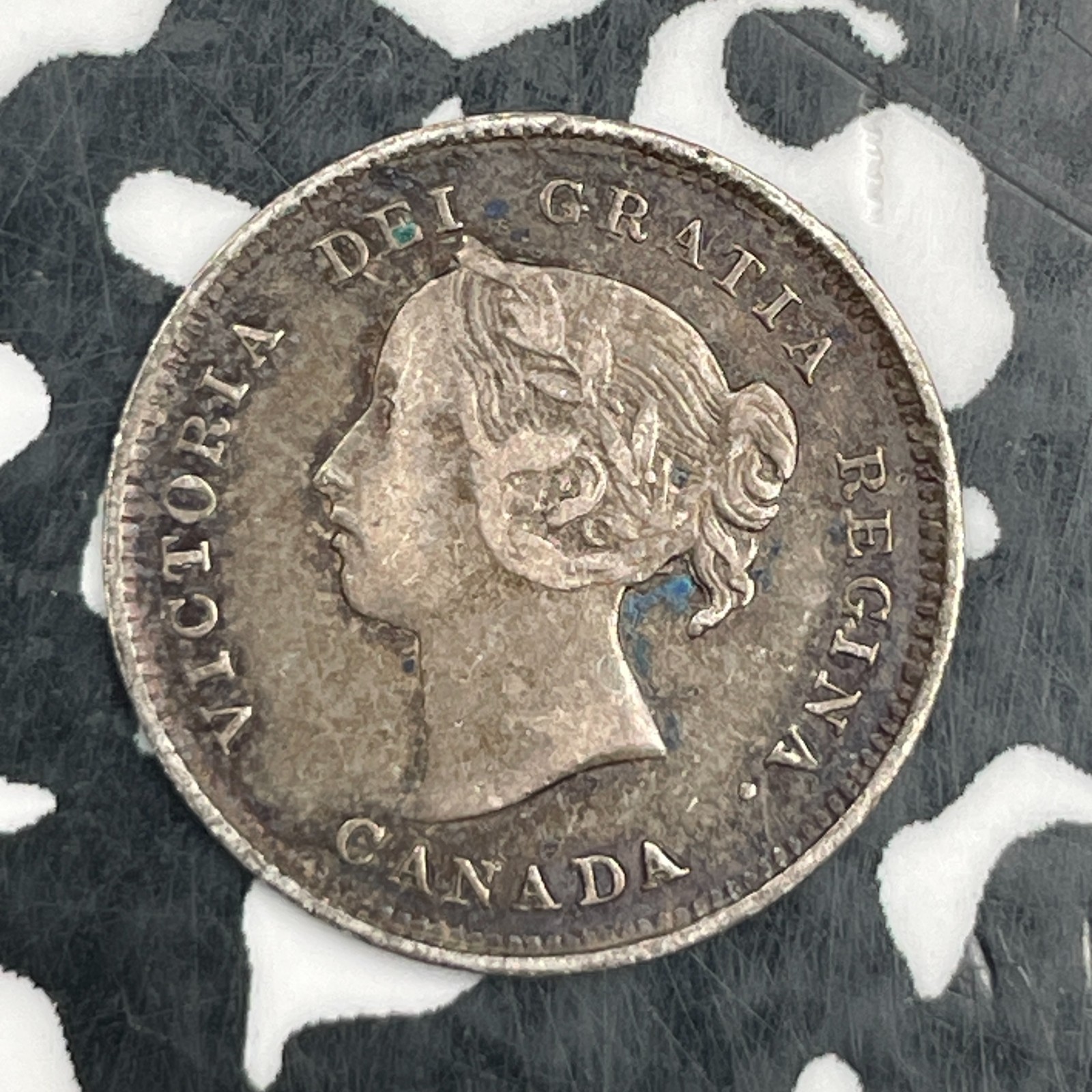 1886 Canada 5 Cents Lot#JM1667 Silver! Nice!