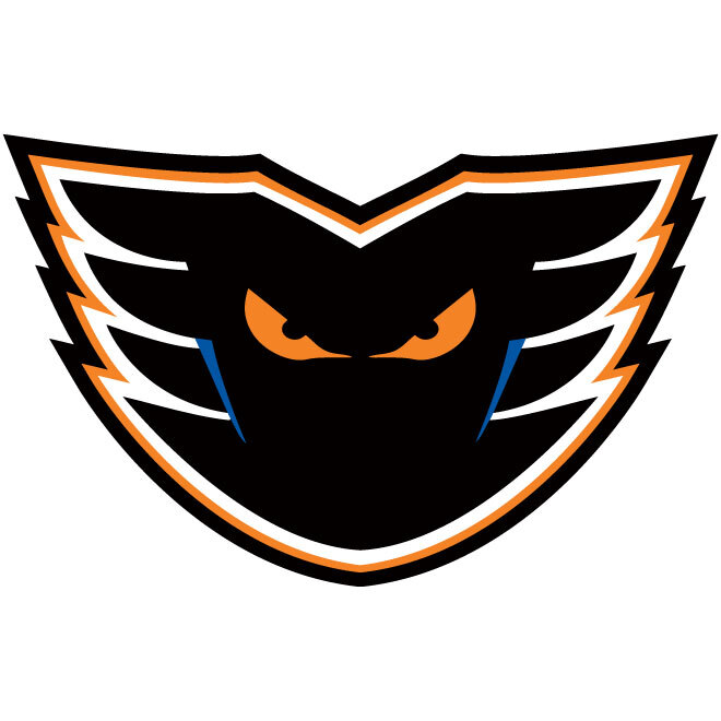 Lehigh Valley Phantoms AHL Decal ~ Vinyl D2