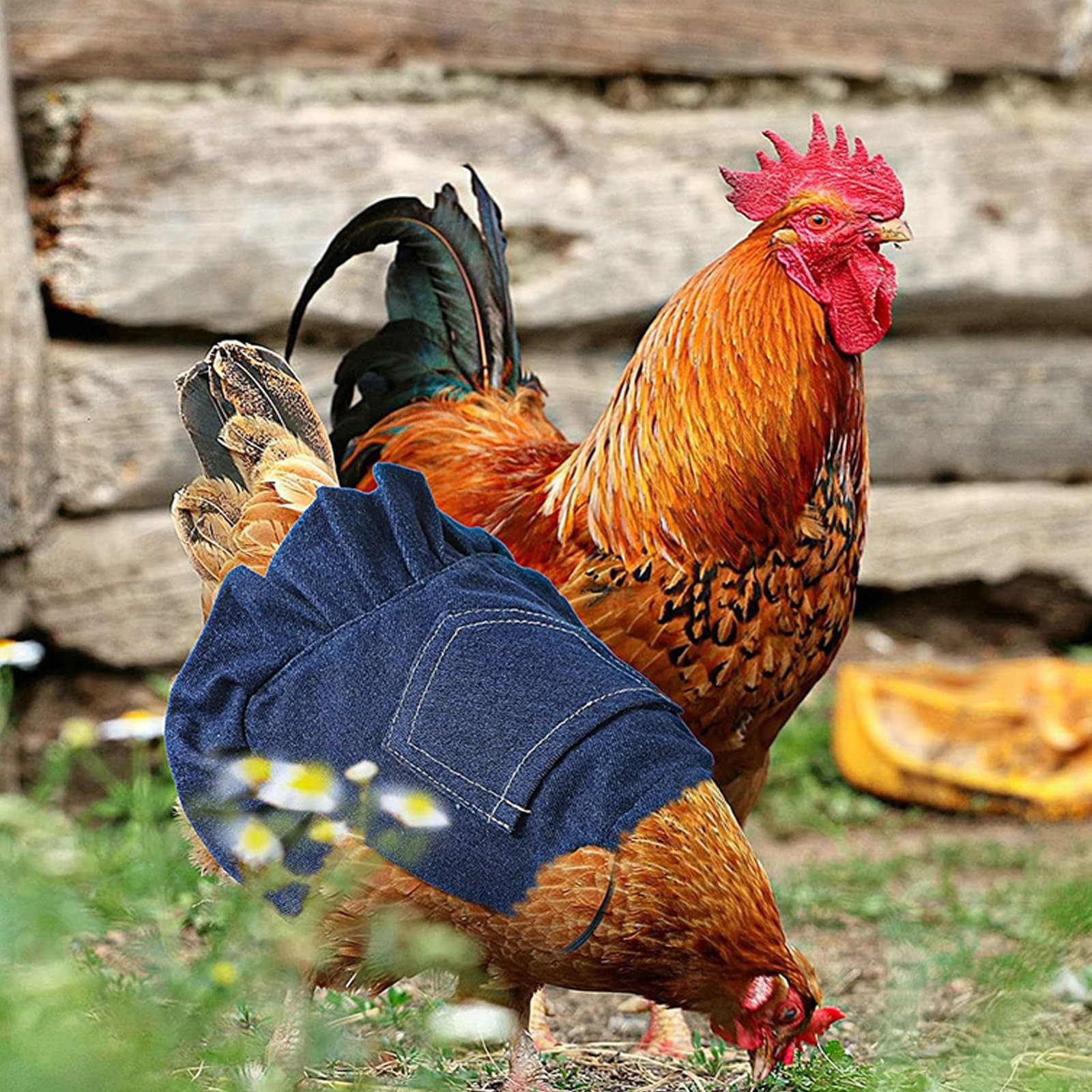Chicken Saddles, 3 Pack Hen Apron with Elastic Strap Poultry Feather