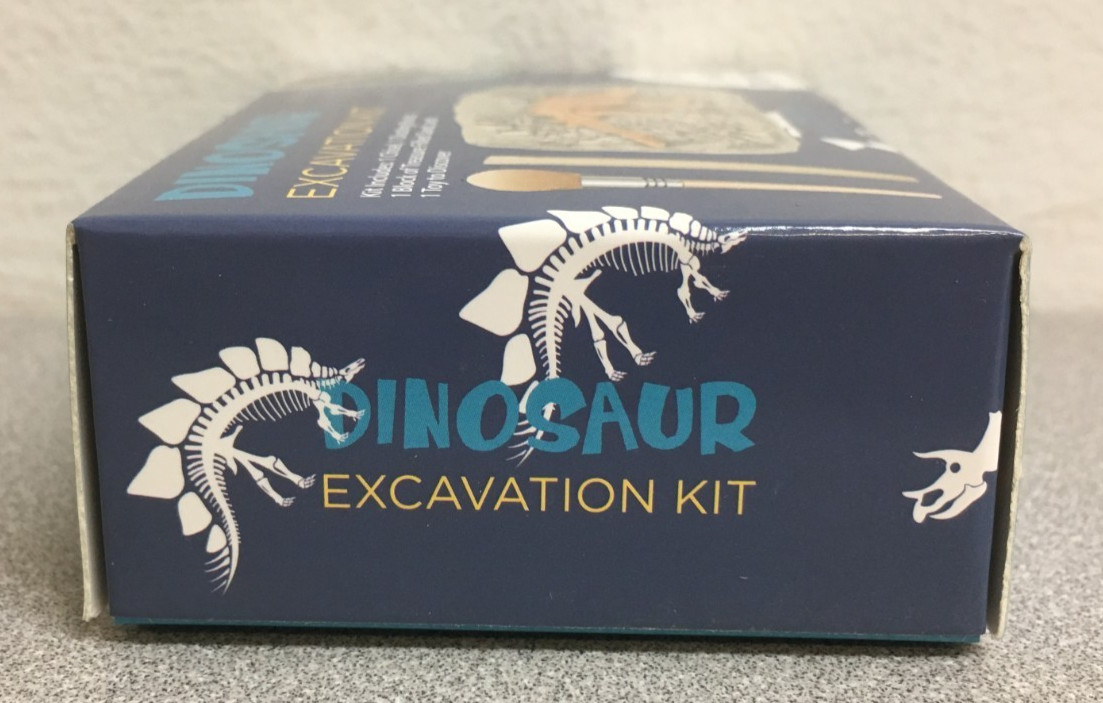 Expressions ANTY18090A Dinosaur Excavation Kit