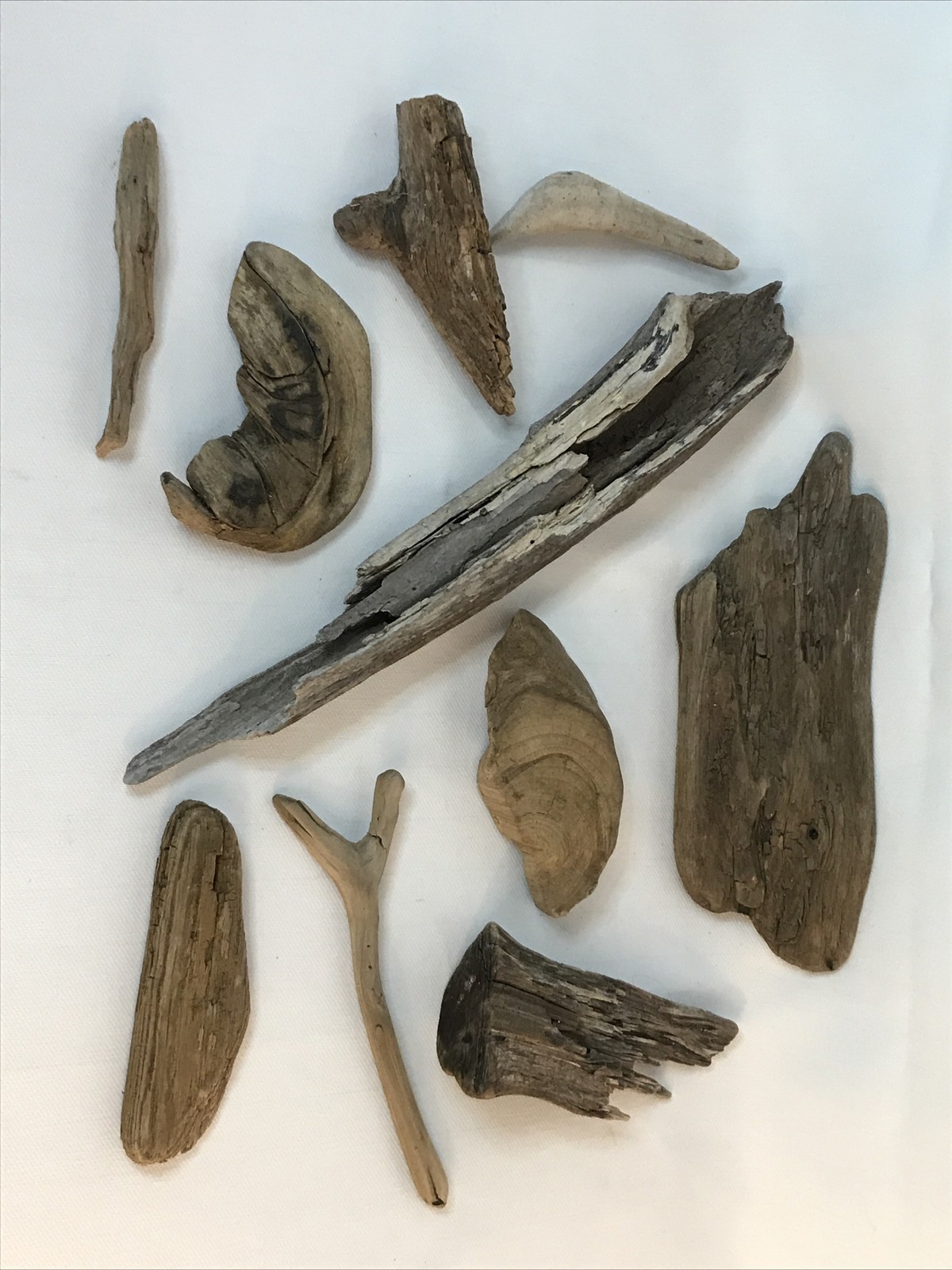 Aquarium Driftwood 10 PCS Natural Wood Driftwood Branches Habitat Decor