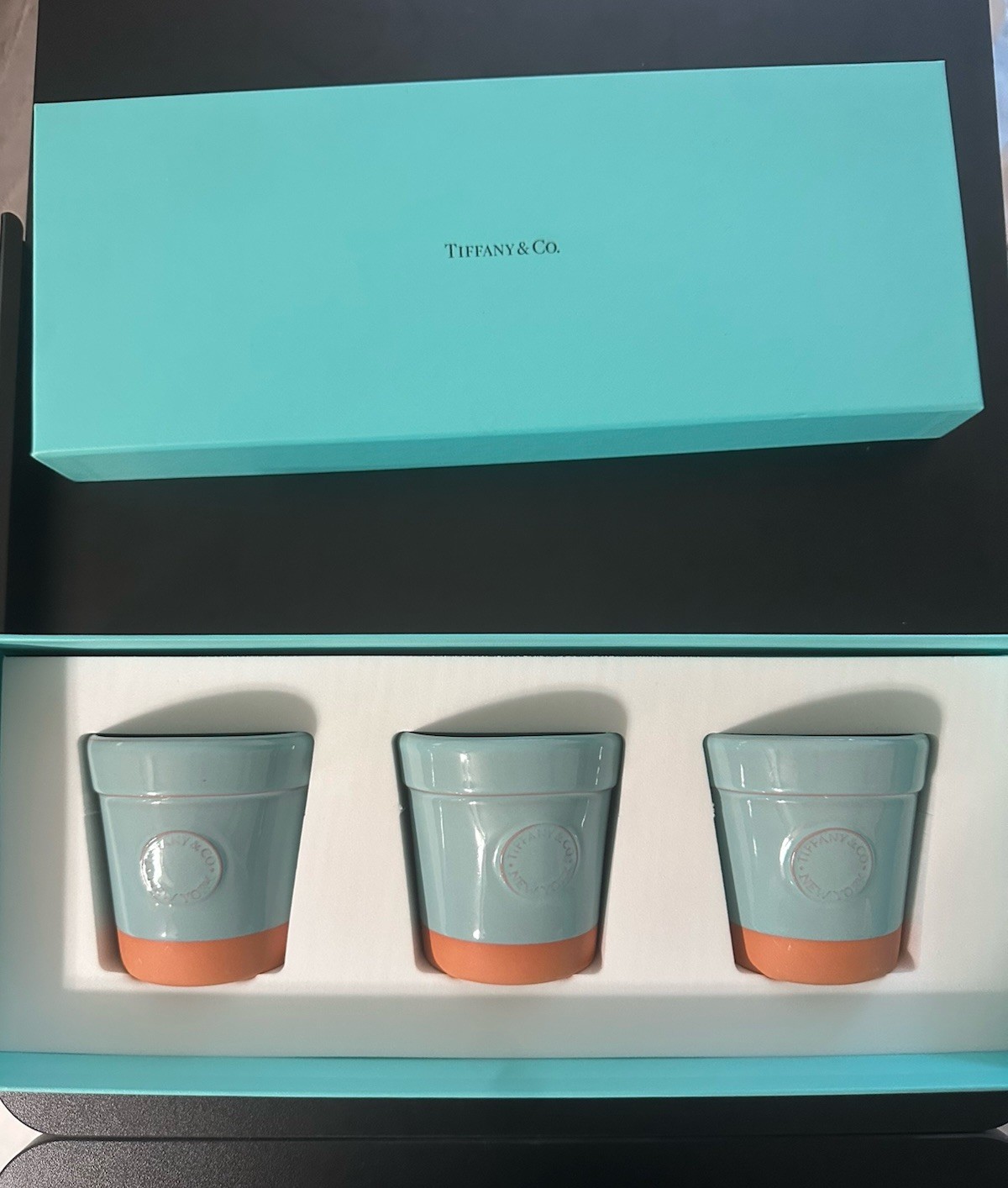 Tiffany & Co. Tiffany Blue and Terracotta Small Flower Pot Planter Set of 3 •NIB