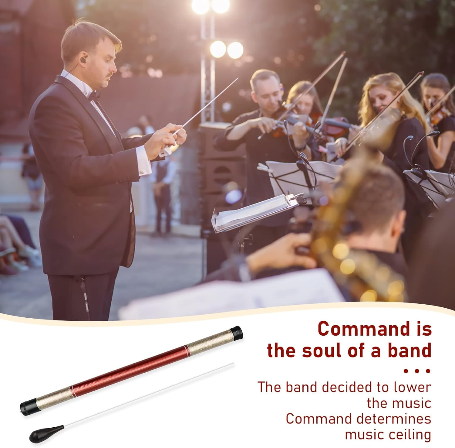 Professional Conductor Baton with Ebony Handle and Storage Cylinder