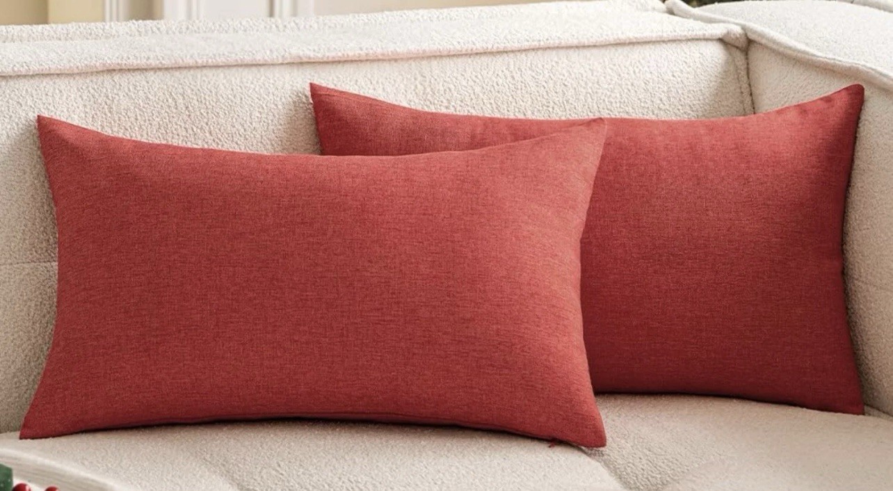 2 Pack Outdoor Throw Pillows, 12” x 18”, Target Brand