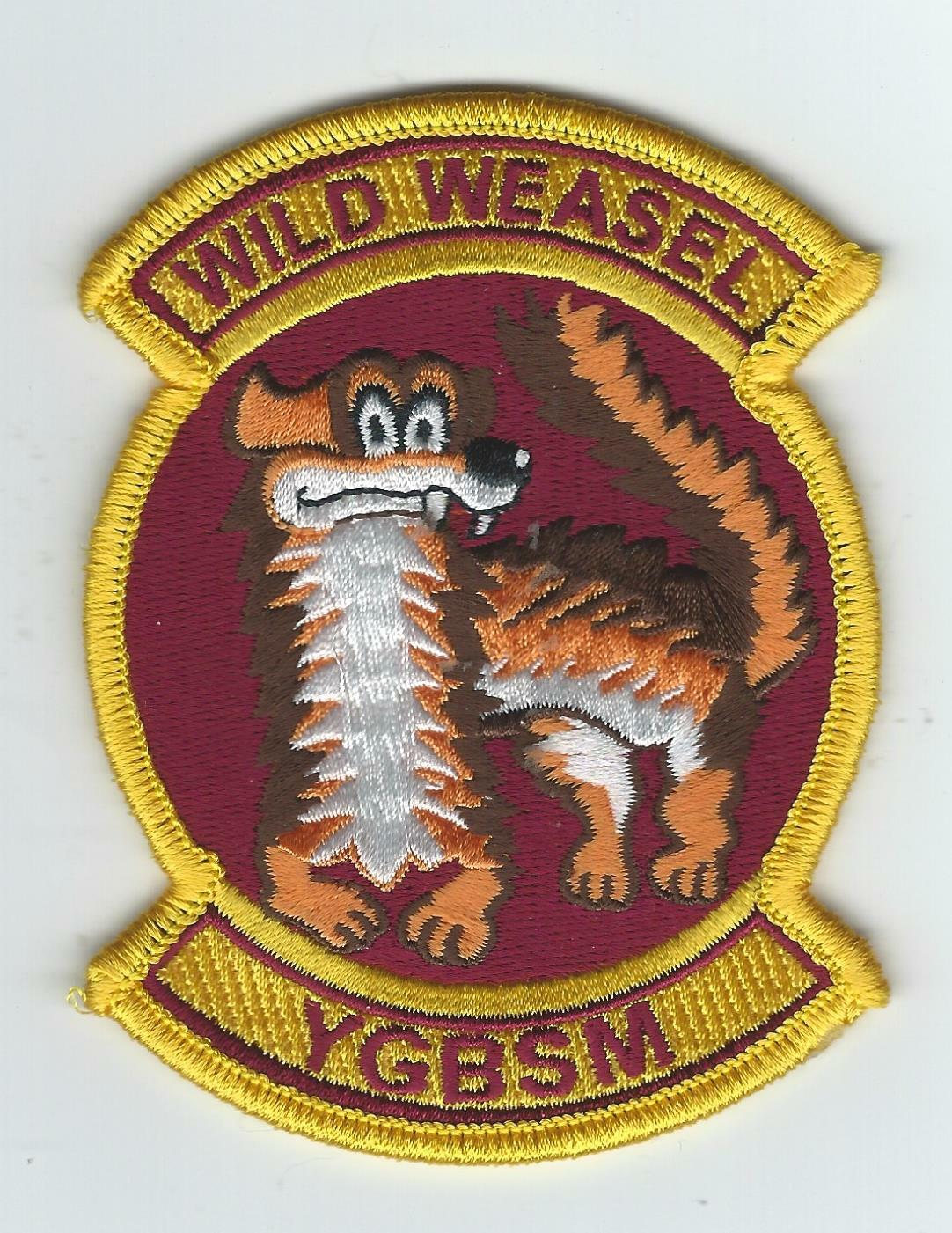 157th FIGHTER SQUADRON HERITAGE "YGBSM"  patch