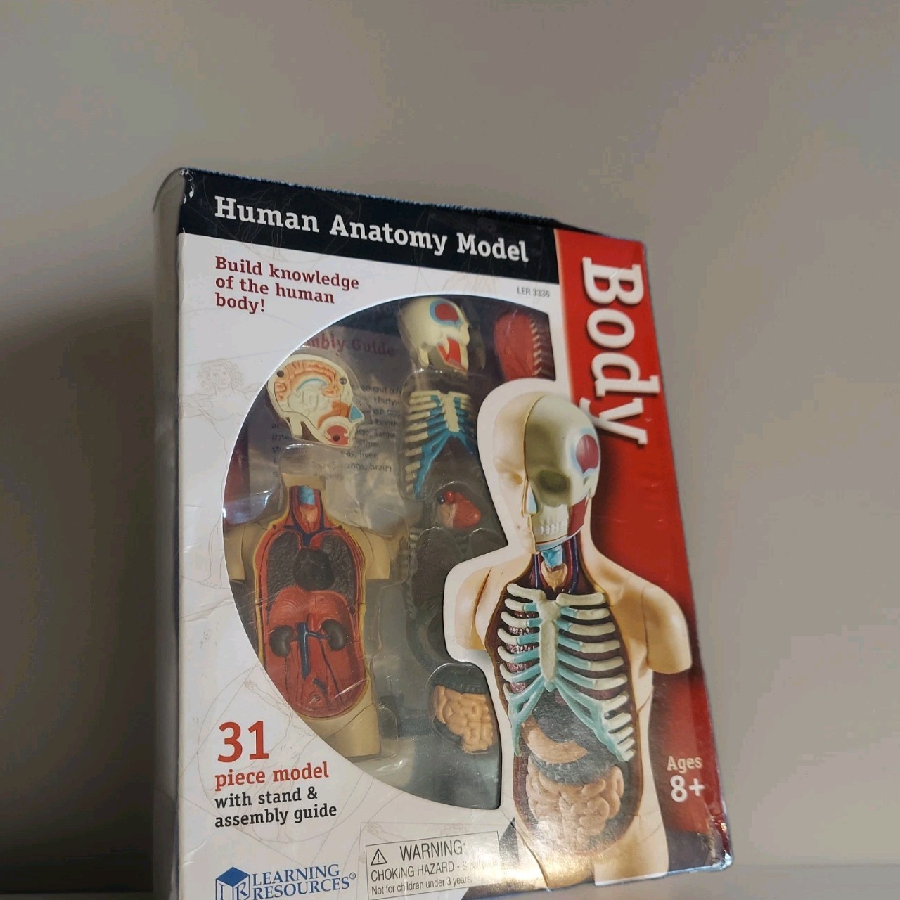 Human Body Learning Resources Educational Anatomy 31-Piece Model Set and Stand