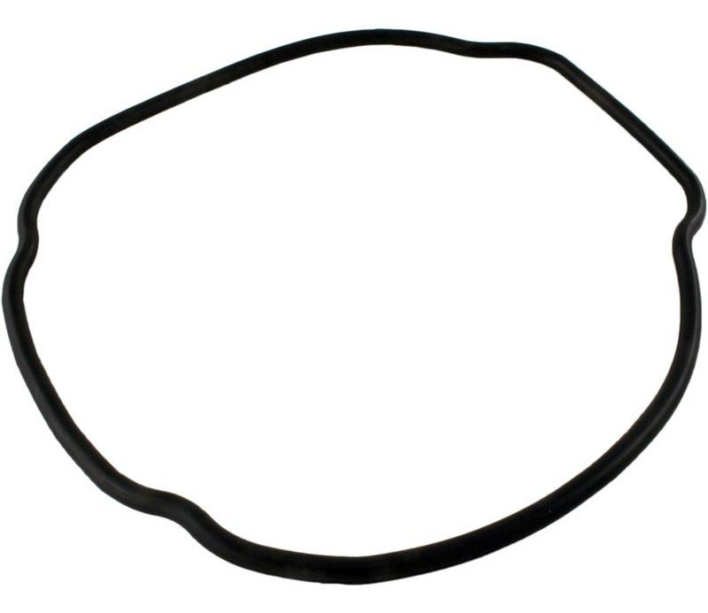 Hayward TriStar EcoStar Pool Pump Housing Gasket O-Ring Part SPX3200T