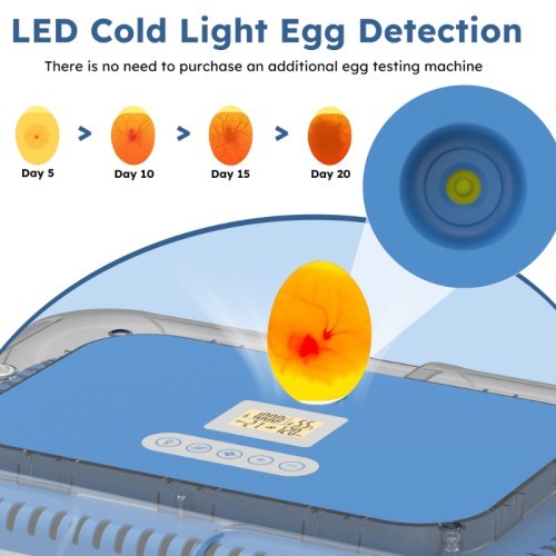 Incubator 70 egg incubators with automatic rotation and temperature control