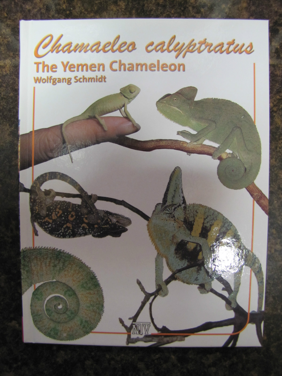 Chamaeleo Calyptratus The Yeman Chameleon by Schmidt ( hardback ) OUT OF PRINT