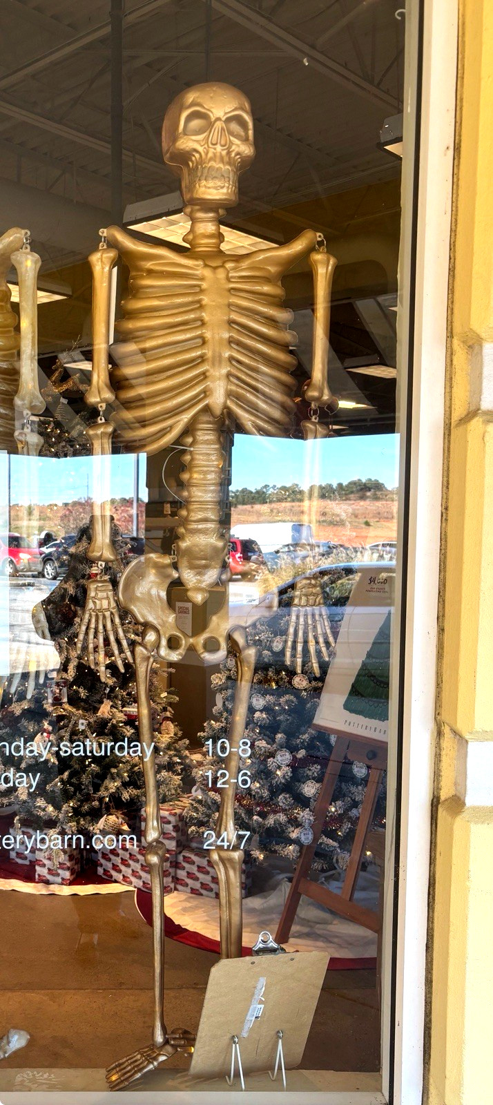 Pottery Barn Lit Skeleton Mr Bones Lighted Halloween NEW GOLD 70" NIB MSRP $299