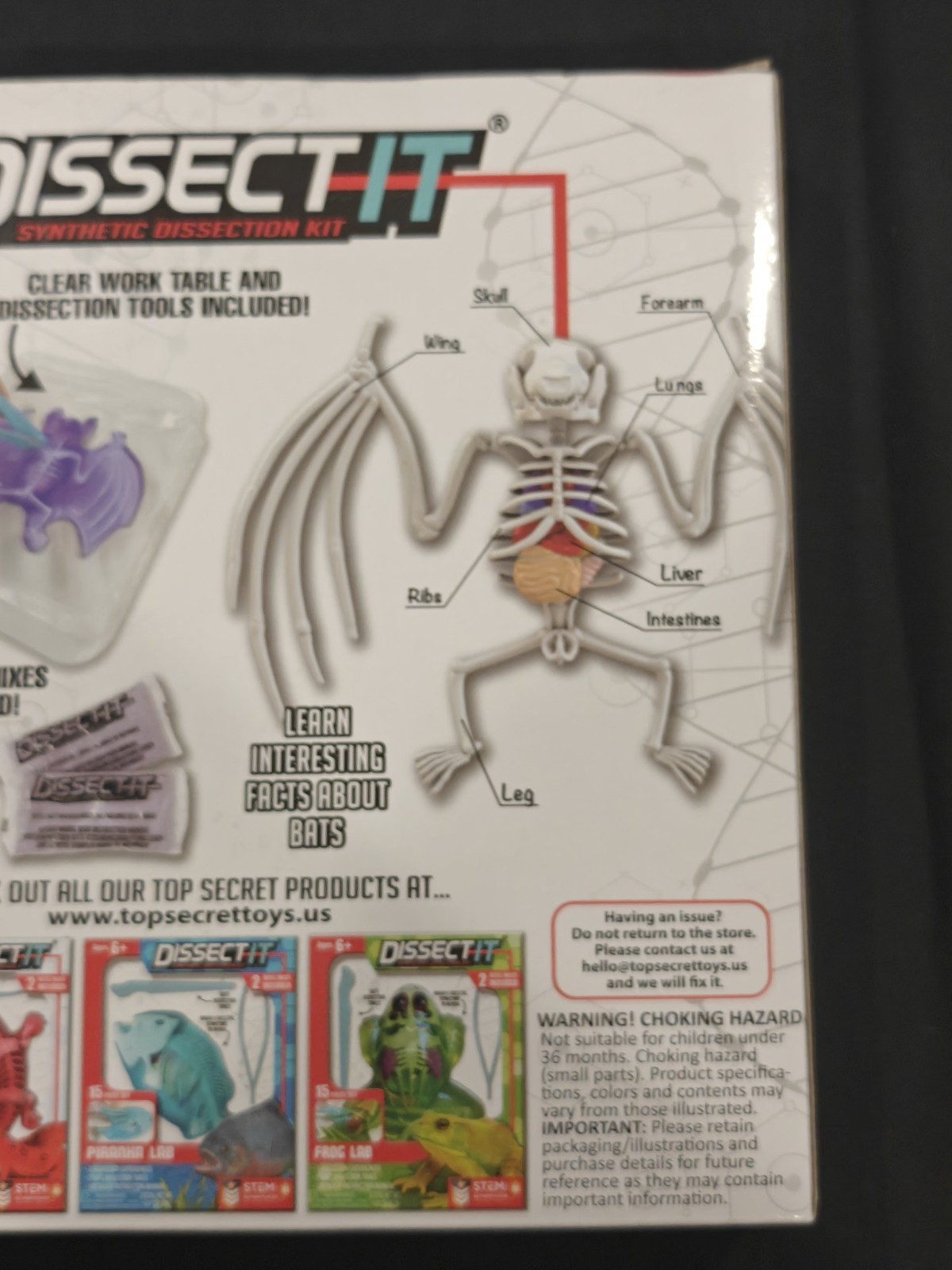 Dissect-It: Bat Lab Synthetic Dissection Kit, Kids Ages 6+