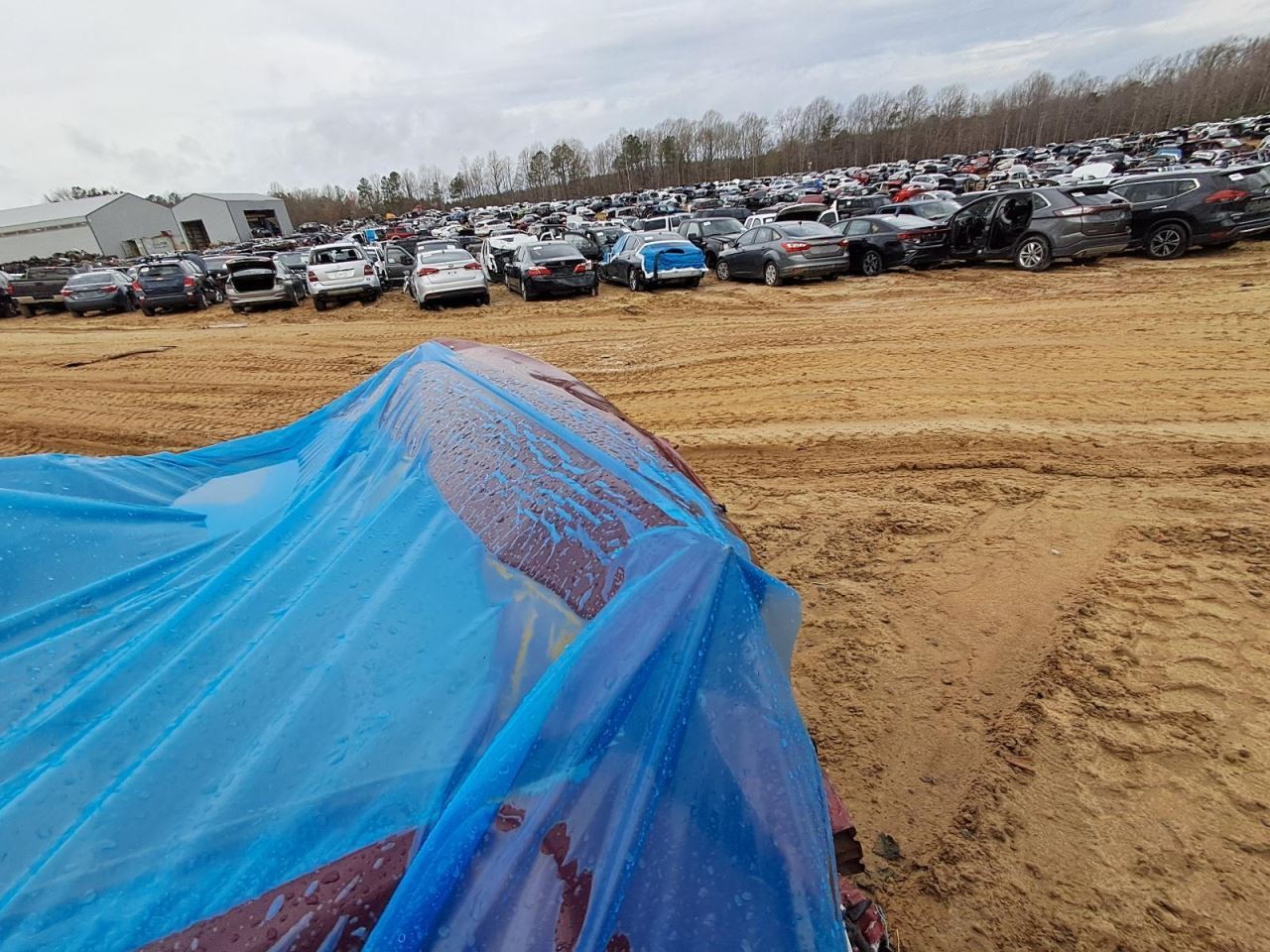 FUSION 2016 Transmission Shift 2888529