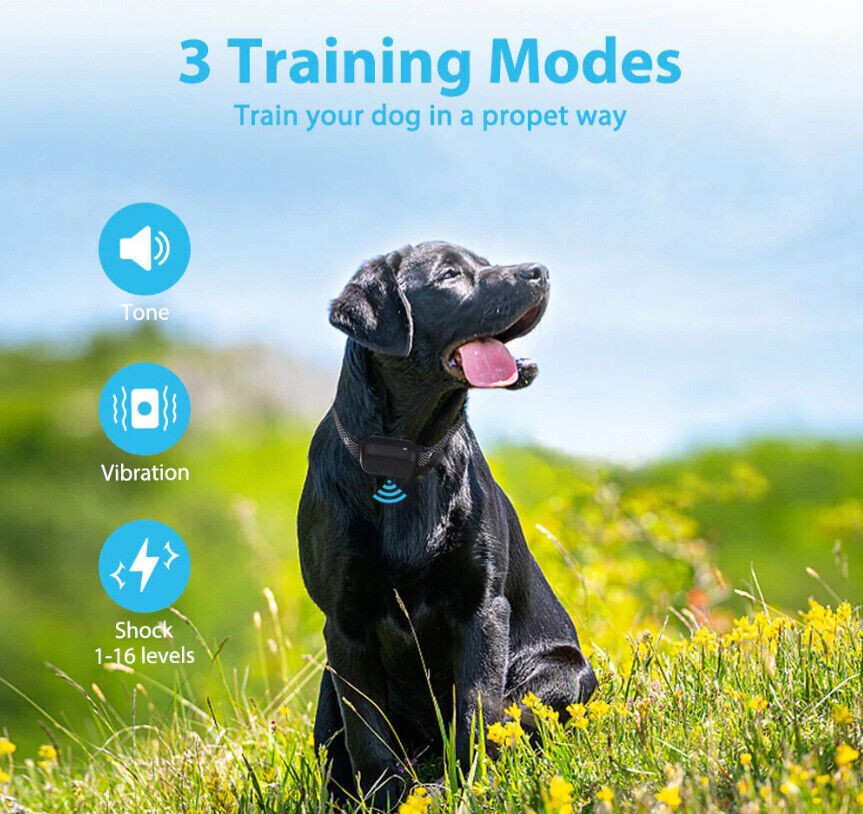 1000Ft Remote Rechargeable Dog Training Collar with Range IPX7 Waterproof