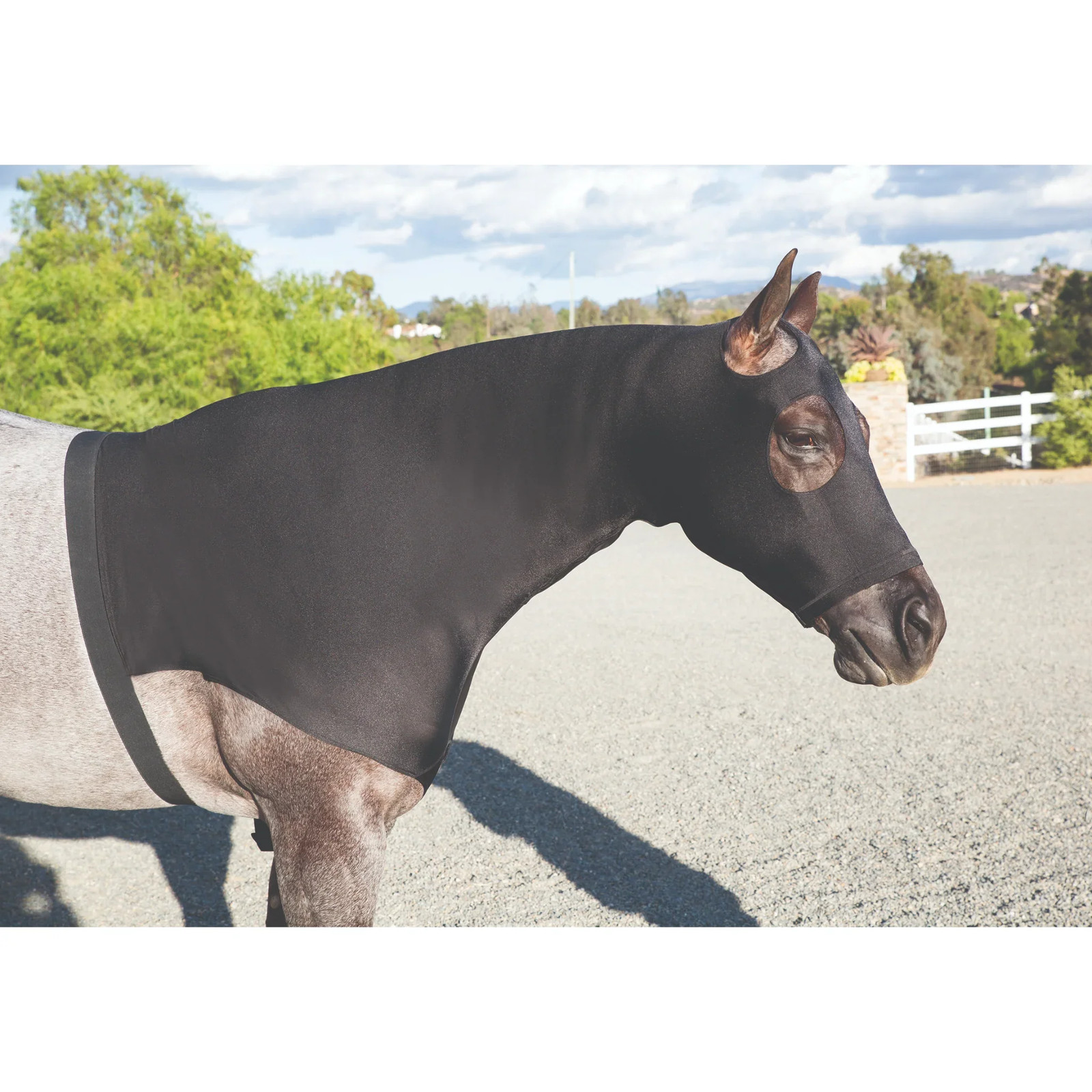 Professional's Choice 400g Heavyweight Lycra Horse Hoodie Sleazy - Black - Size