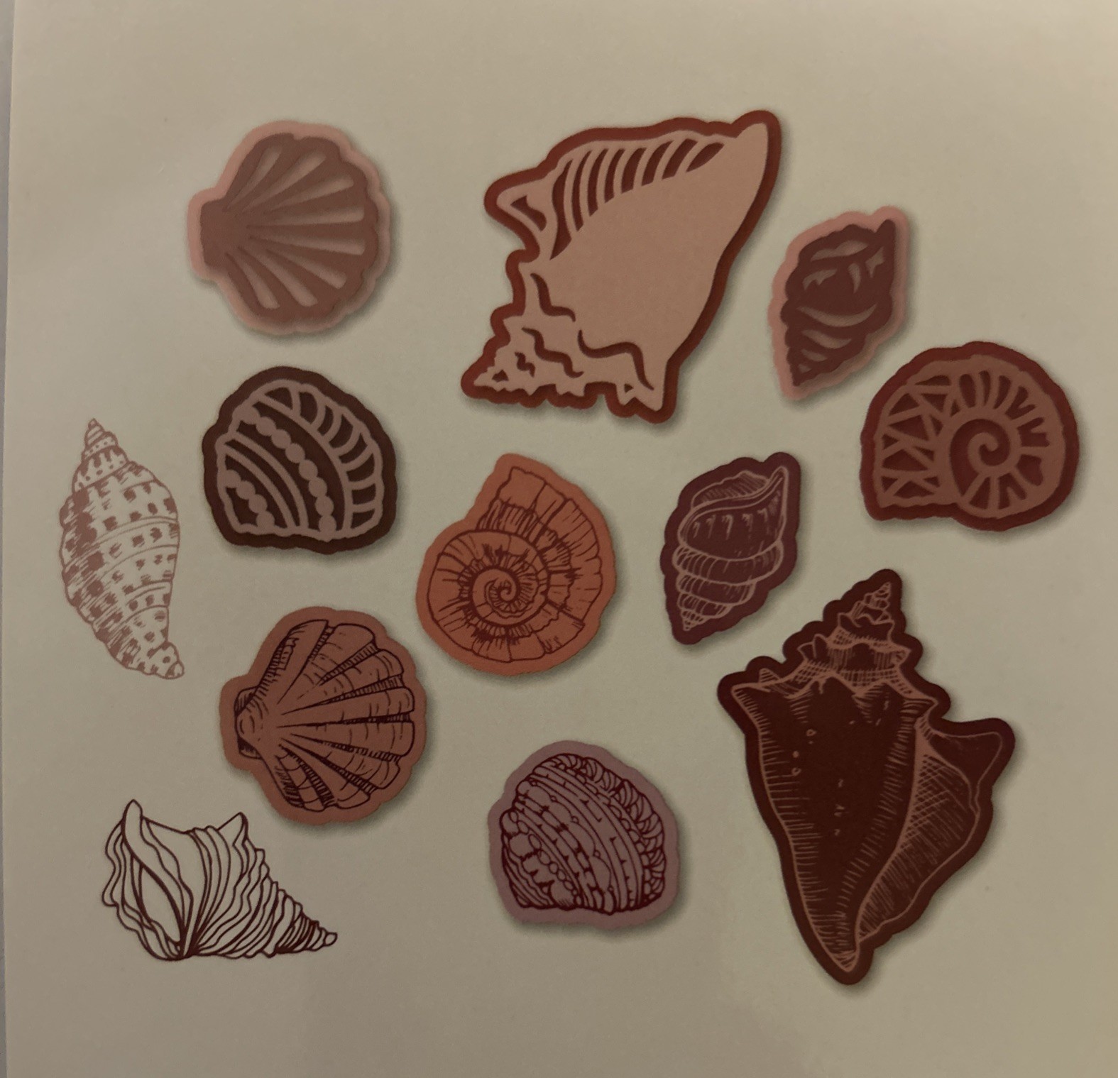 “SEASHELLS “ DIE AND STAMP SET By Scrapbooking Made Simple